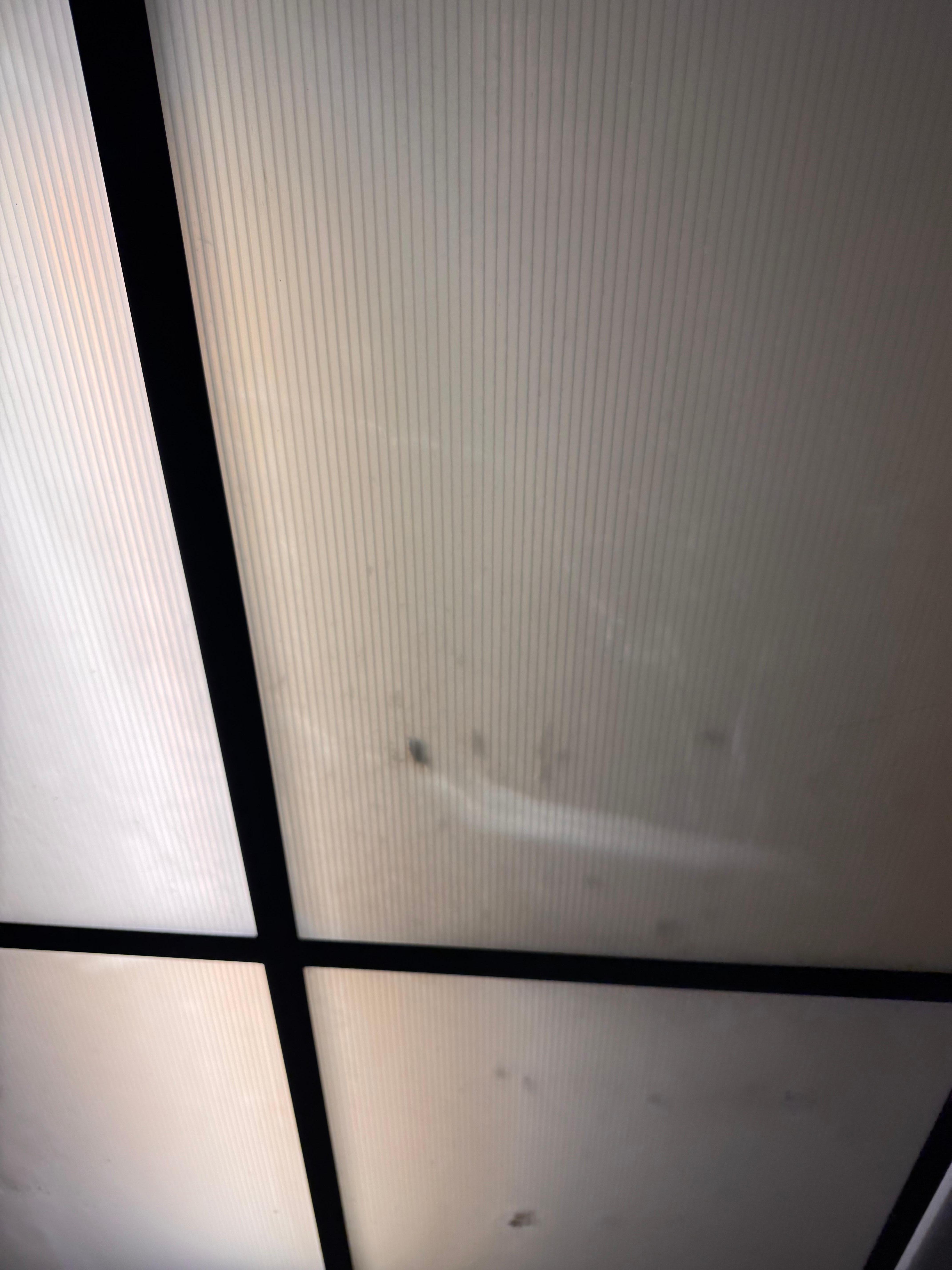 Elevator full of bugs and filth. Burnt out light bulbs. Trash cans full and smelly in the hallway next to the elevator