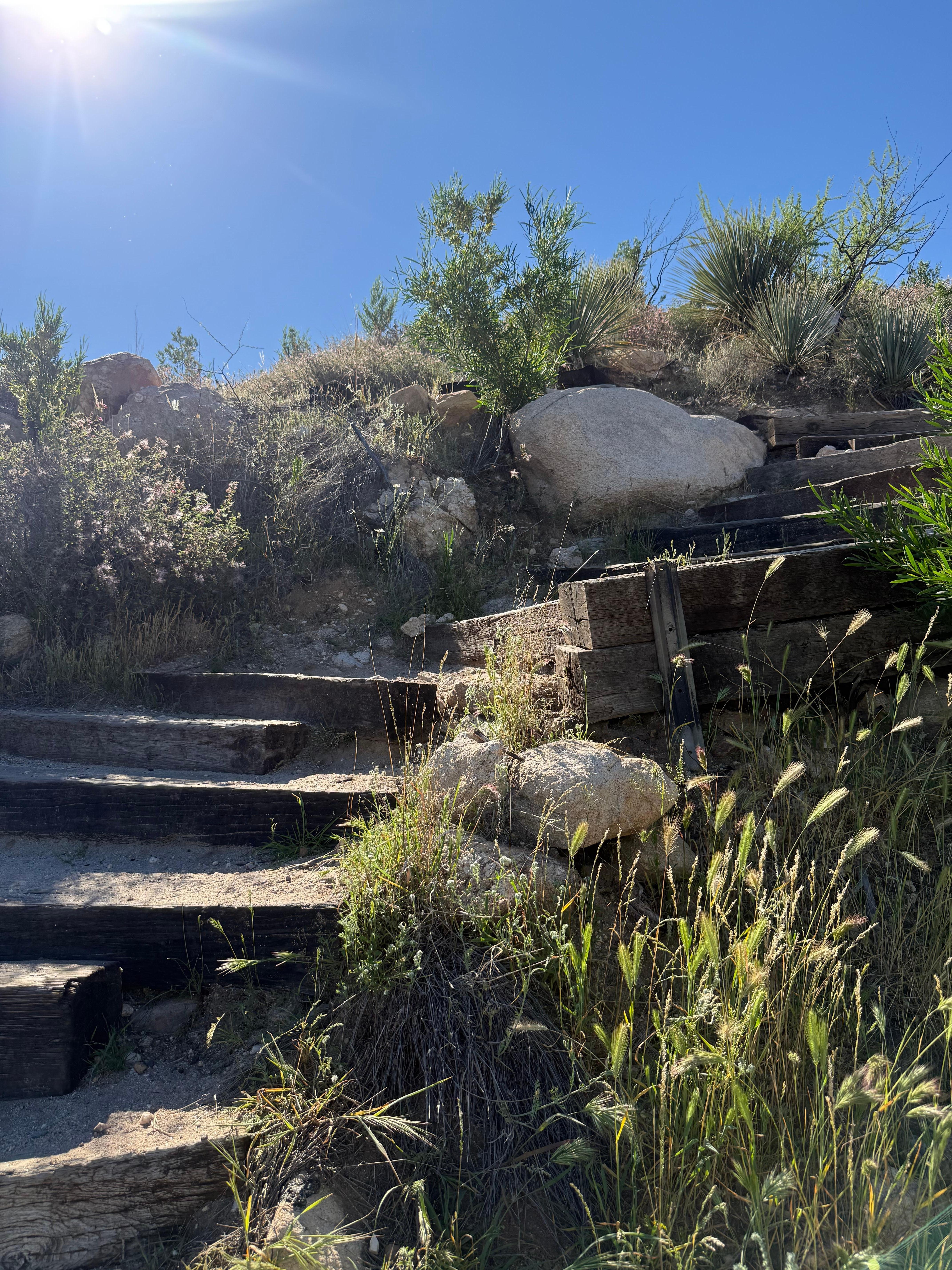 Catalina State Park
