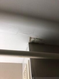 Mold on bathroom ceiling