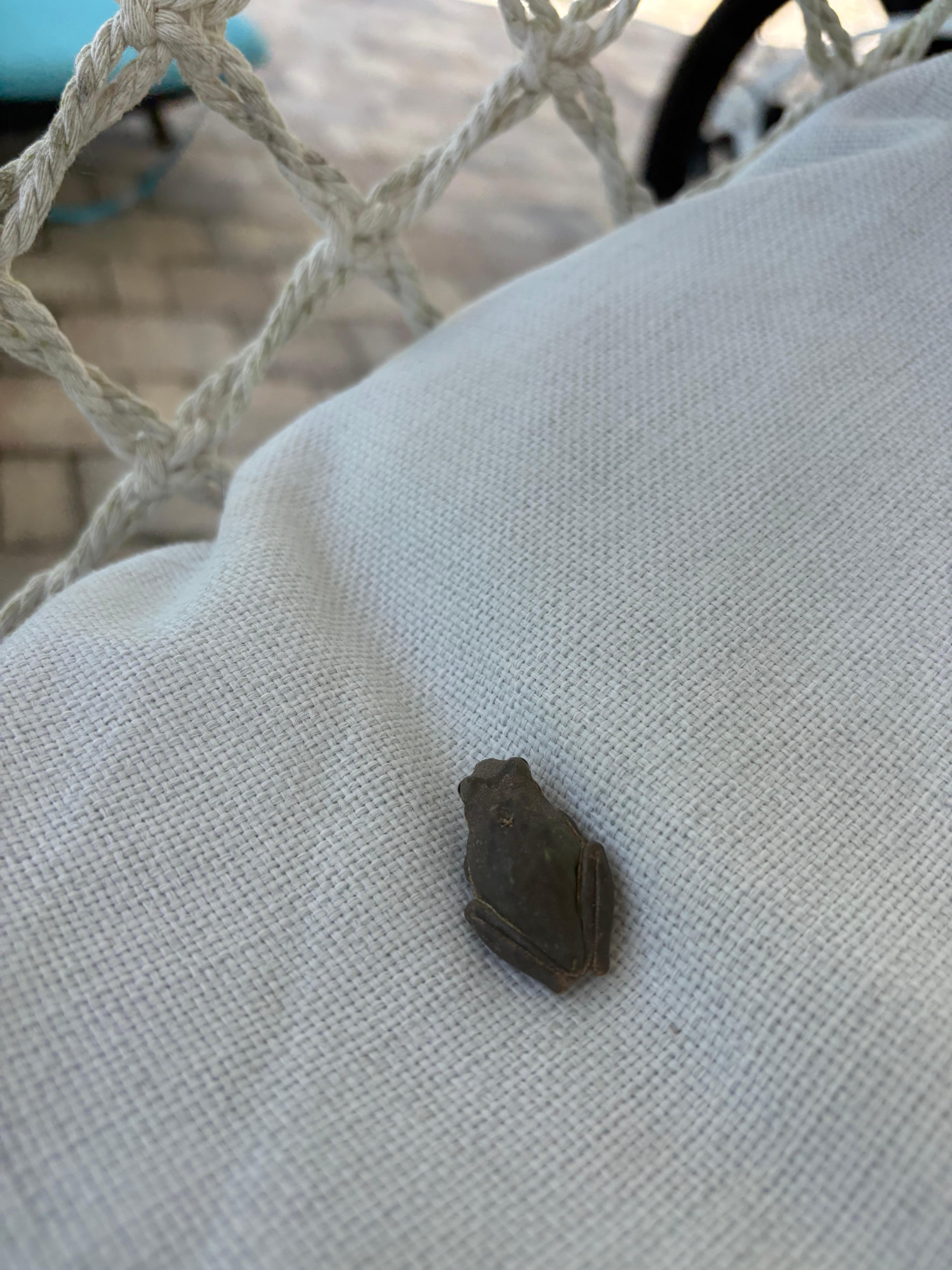 Outdoor Hot Tub Area