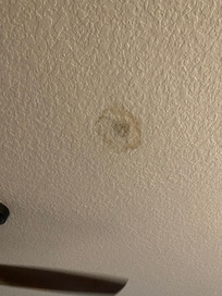 Multiple areas of ceiling damage