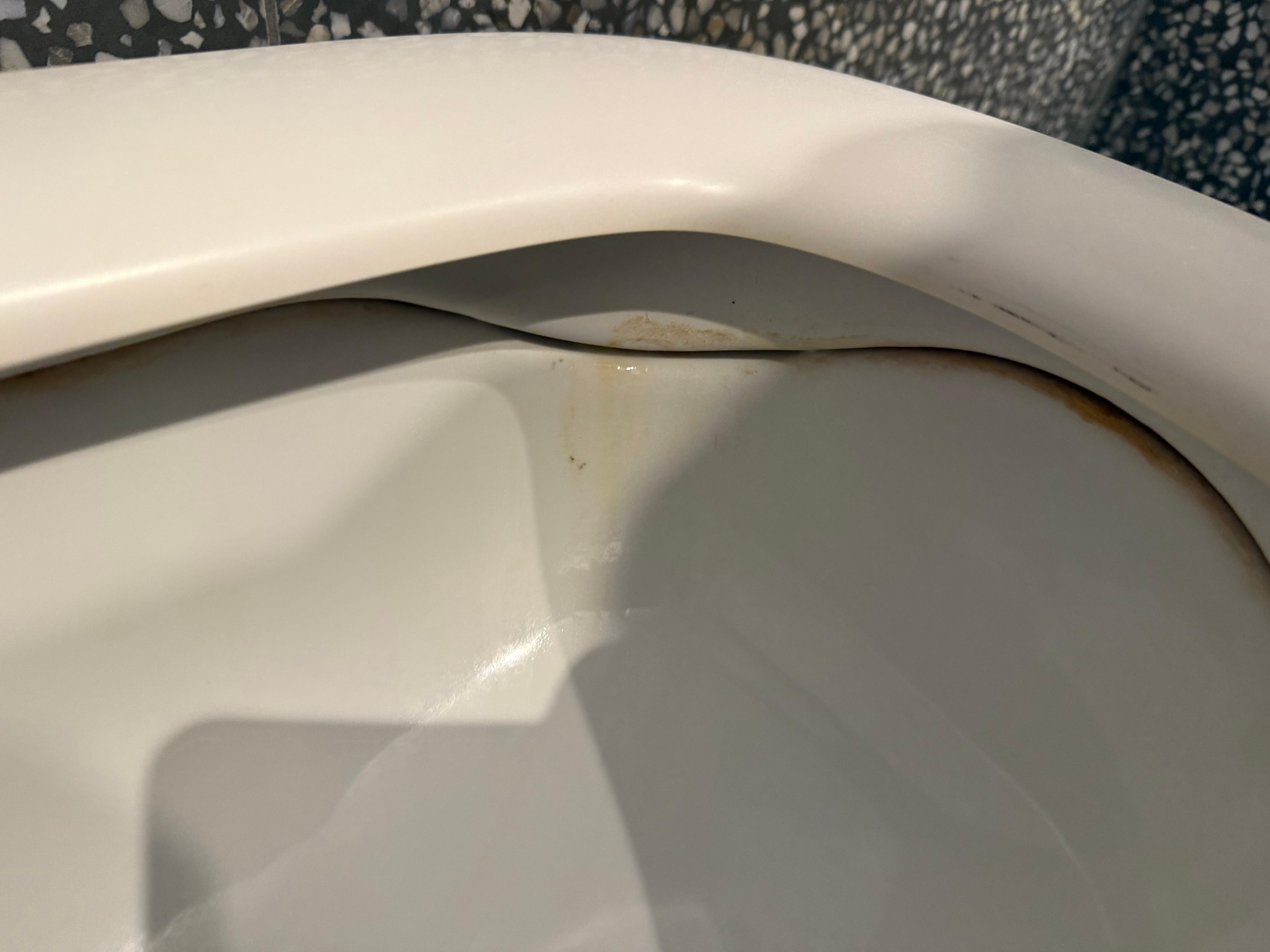 Super dirty toilet.