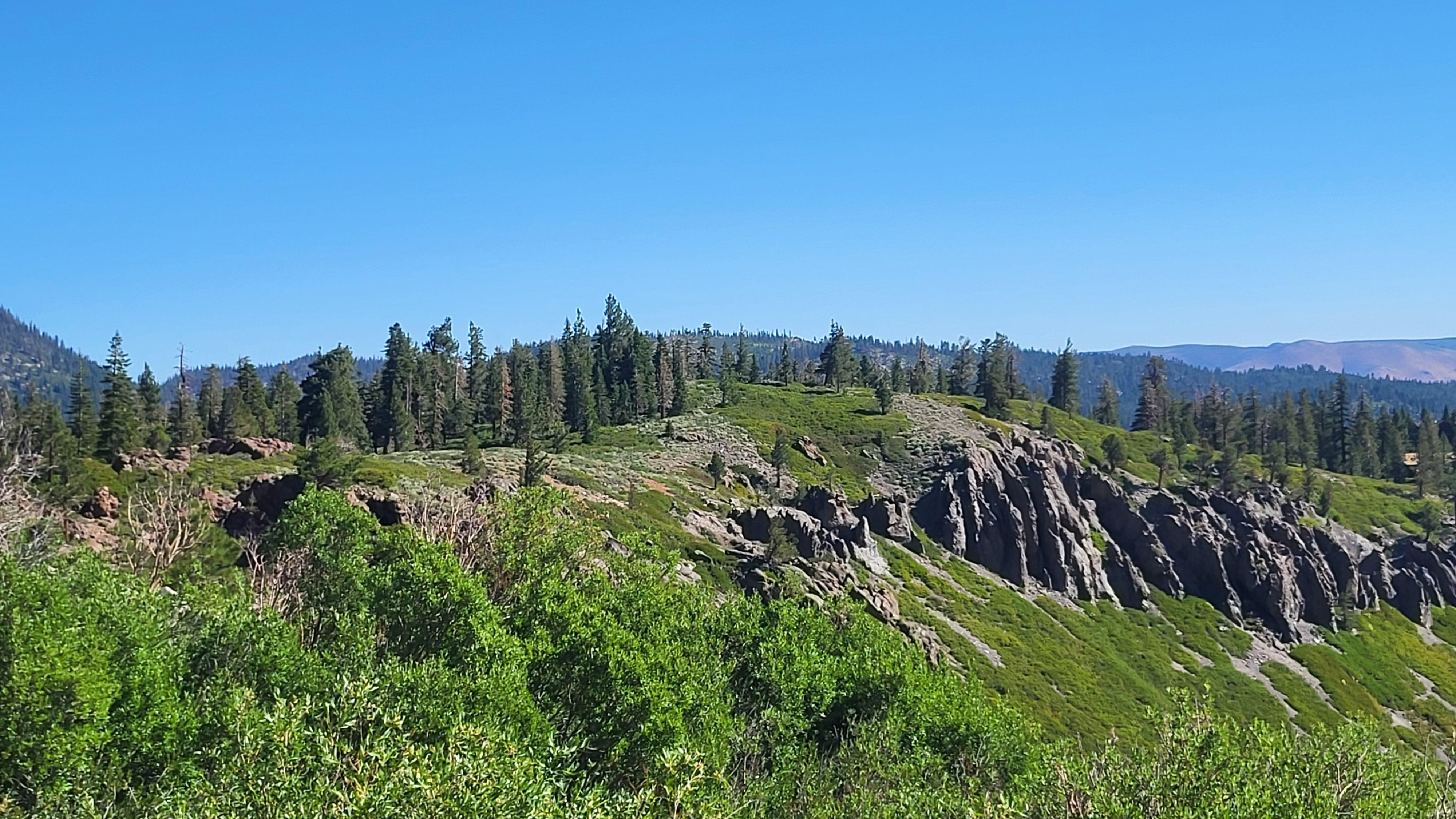 Away from the maddening crowd