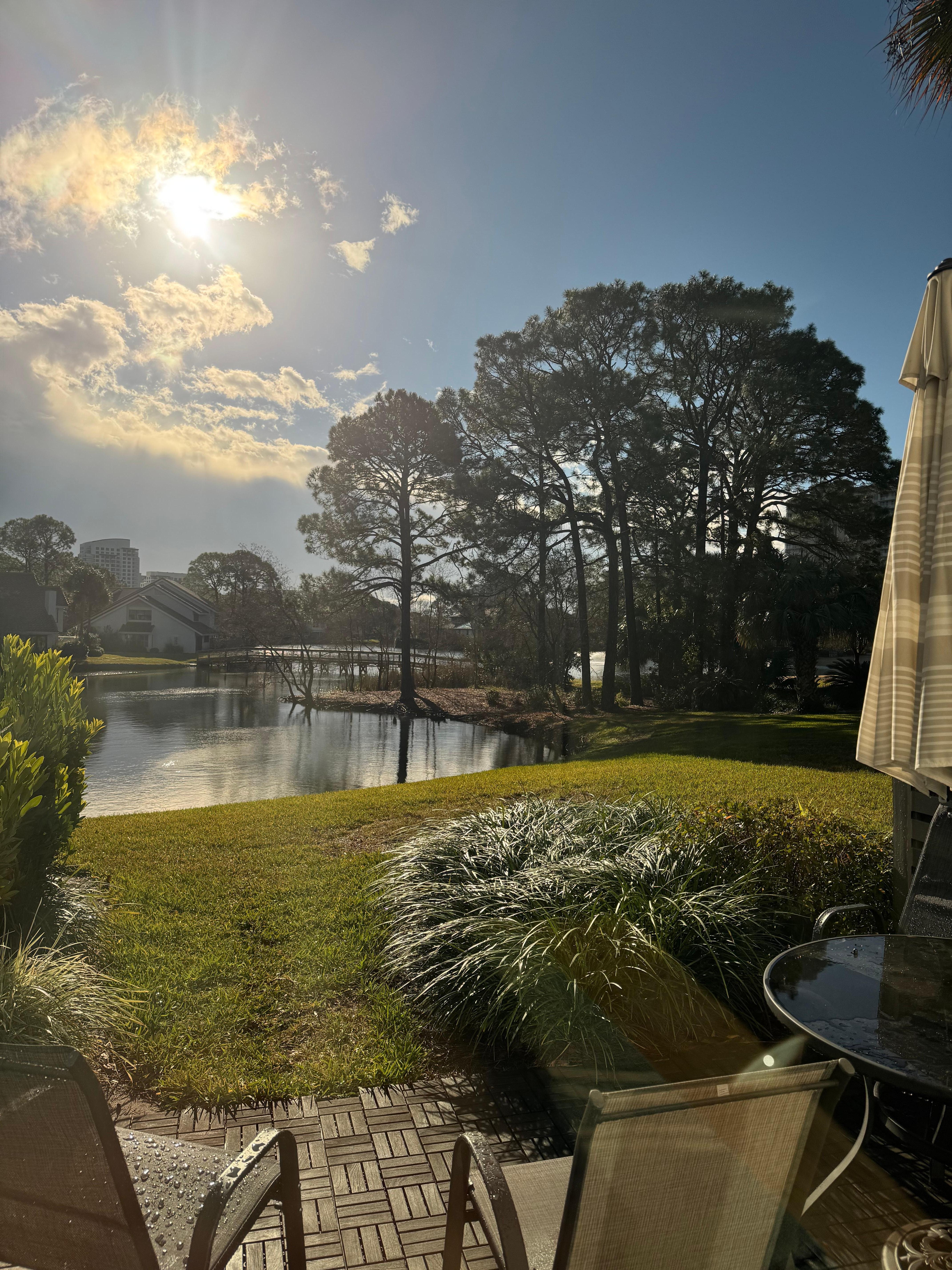 View out the back patio doors 