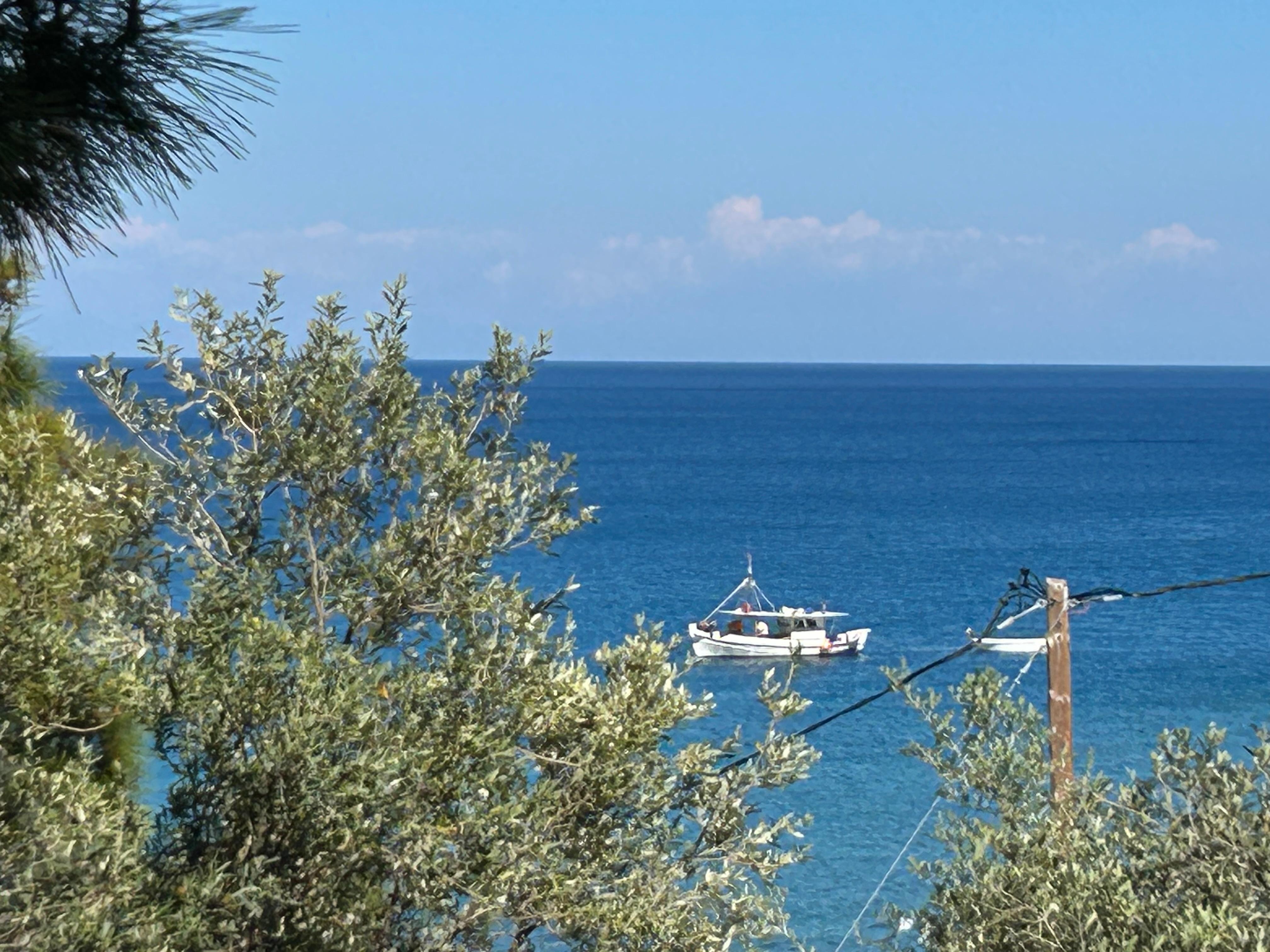 Uitzicht vanuit onze studio