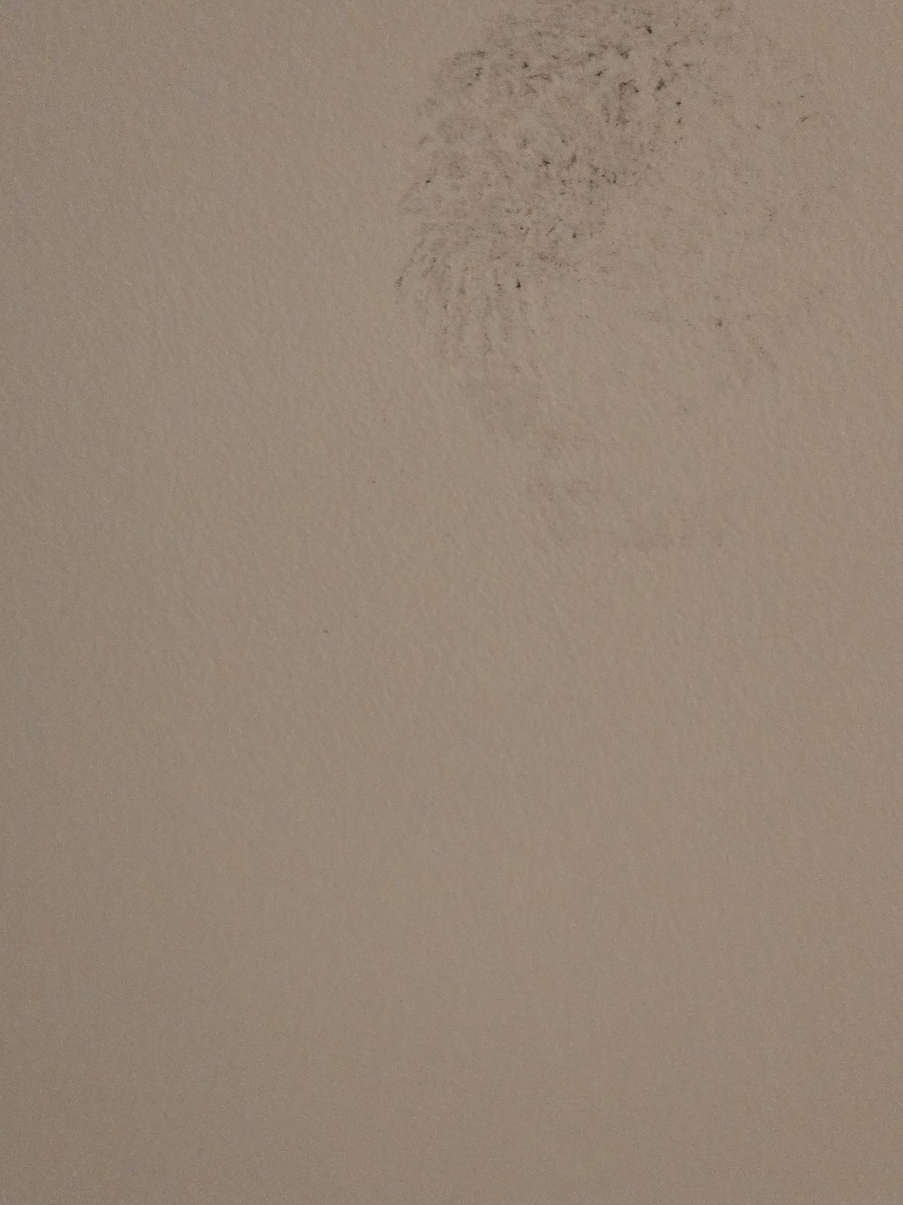 Stainless on the cealing 