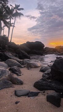 Turtles behind condo at sunset