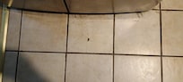 cracked tile