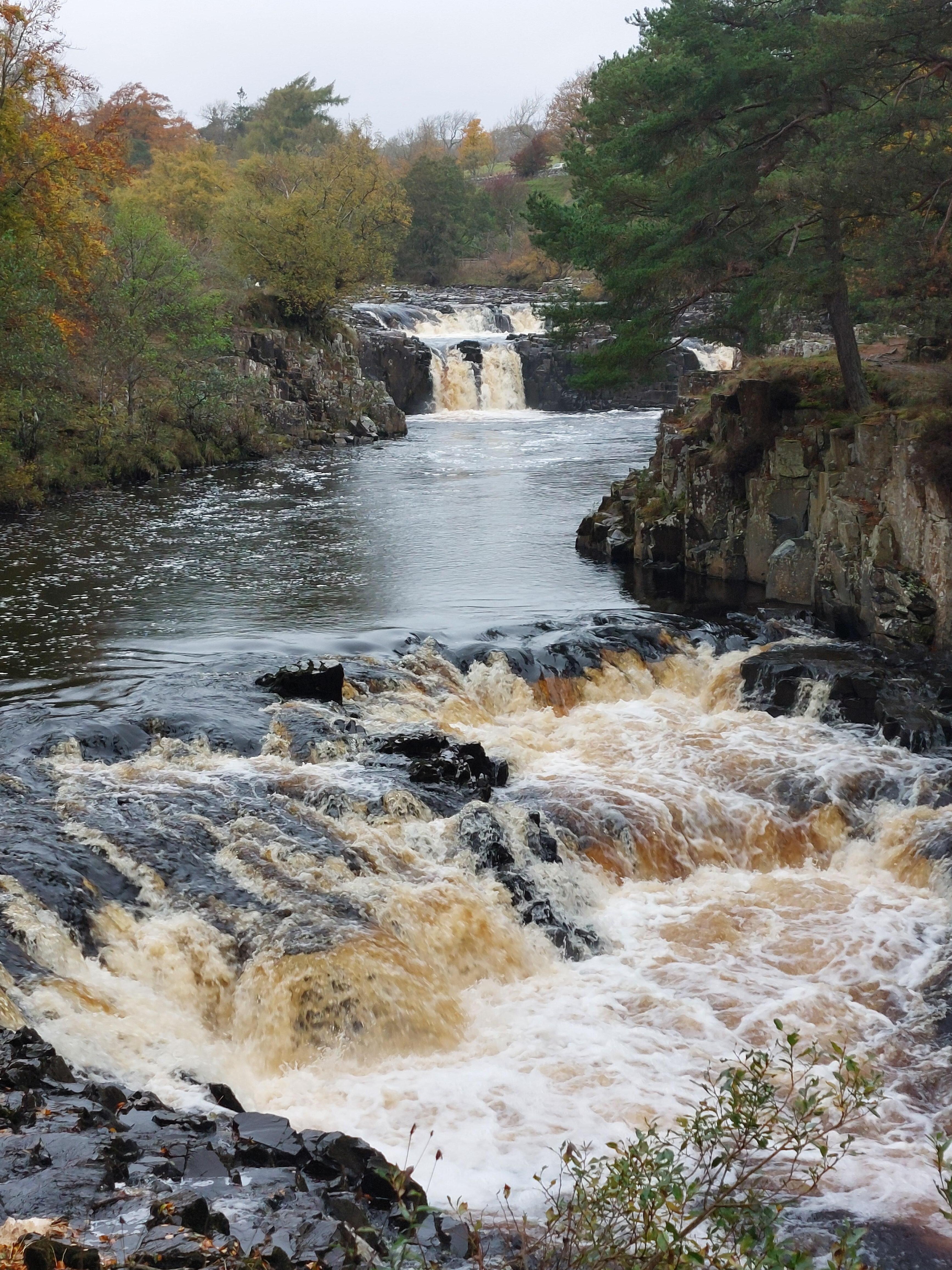 Low Force Falls