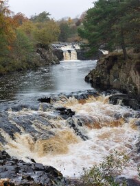 Low Force Falls