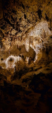 Carlsbad Cavern is located within 25 minutes.