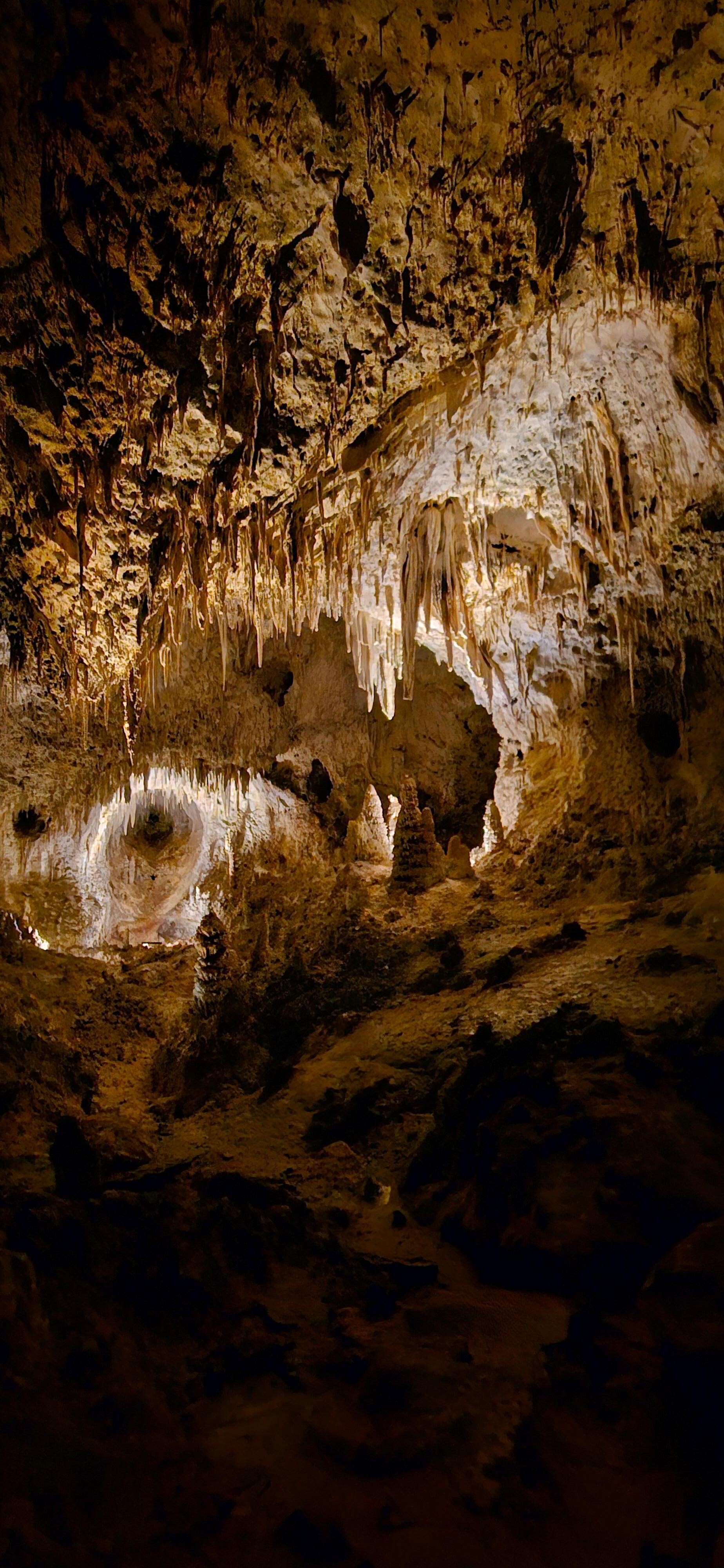 Carlsbad Cavern is located within 25 minutes. 