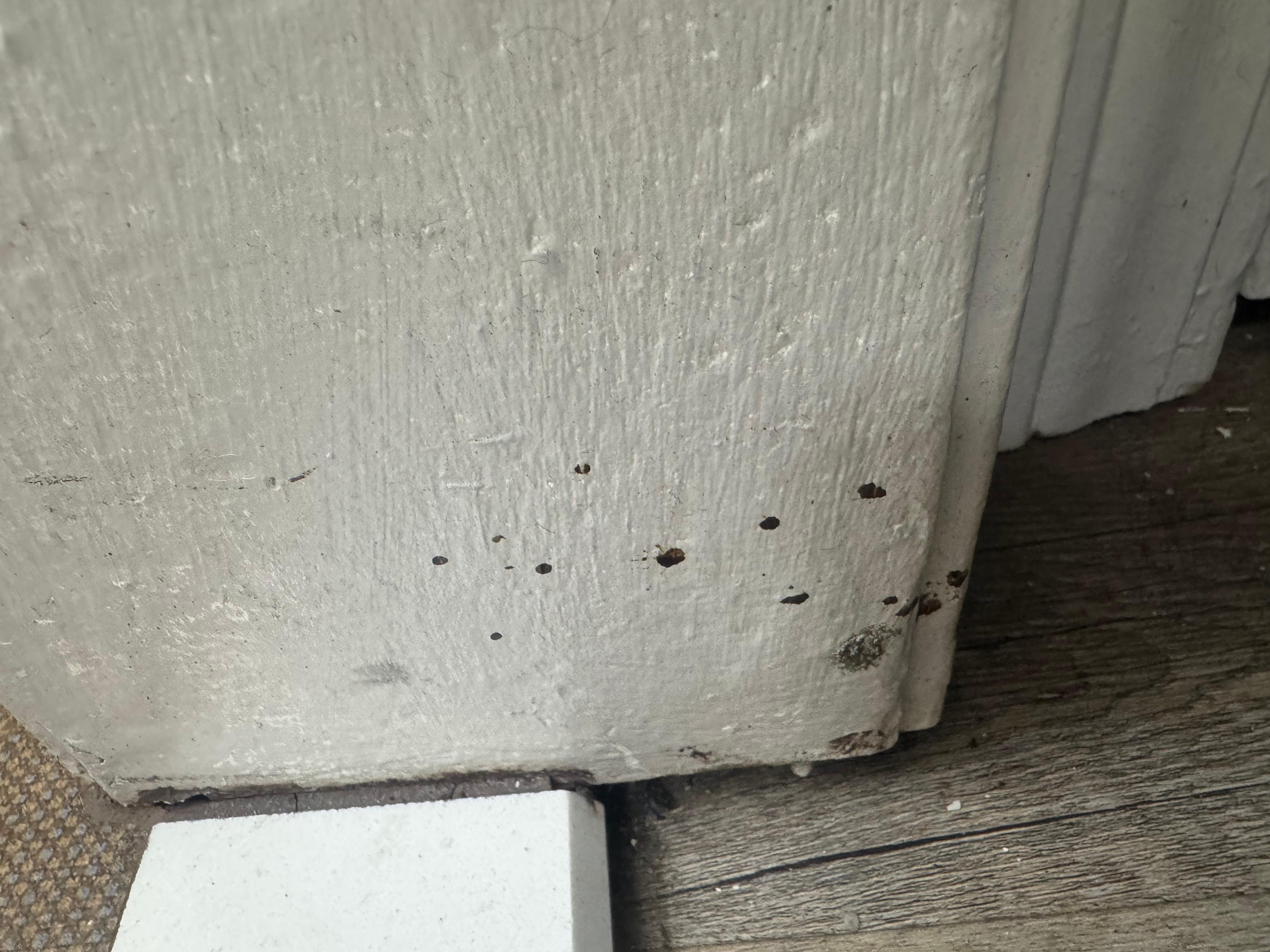 Signs of bed bugs
I did wipe it off with a baby wipe. To see if more showed.