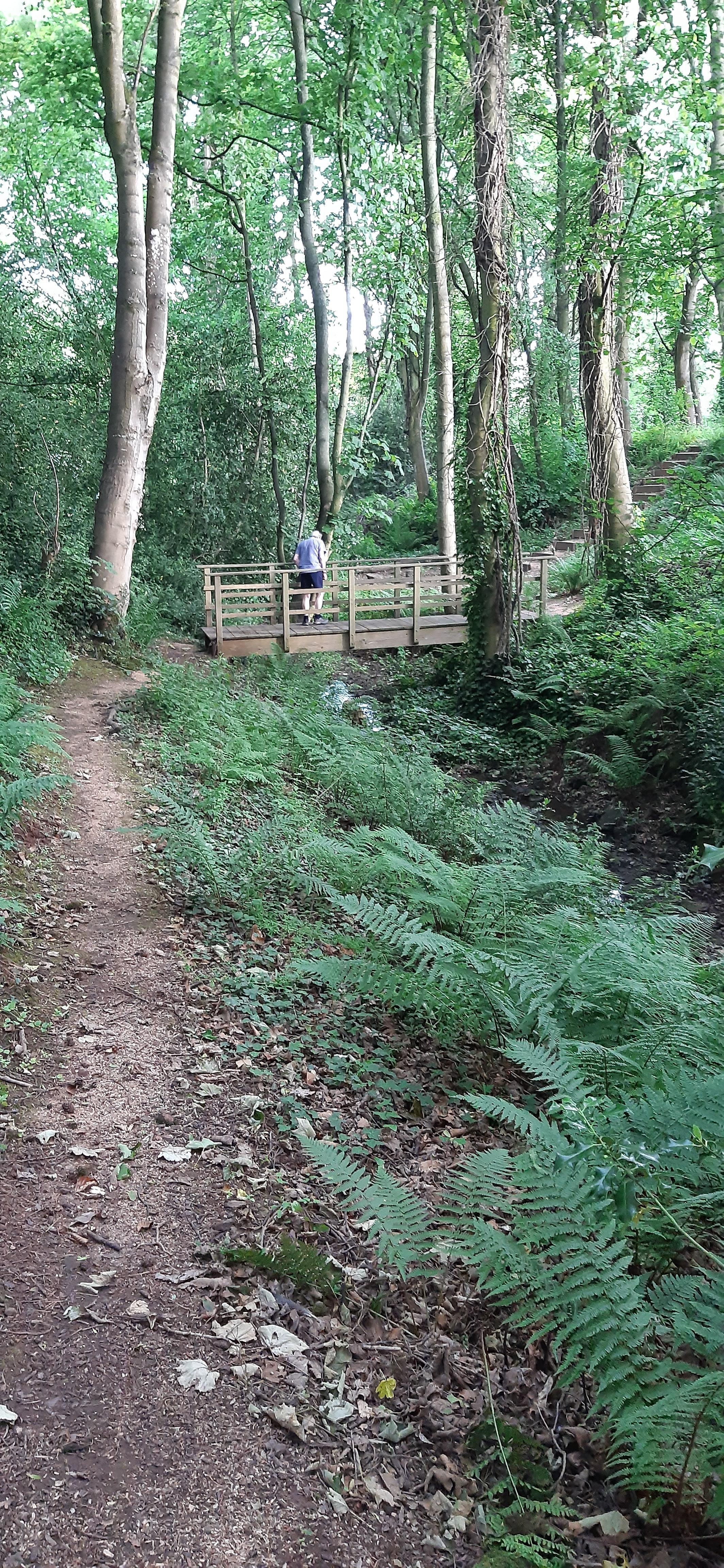 Papple Wood. Great for exploring 