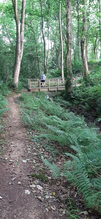 Papple Wood. Great for exploring