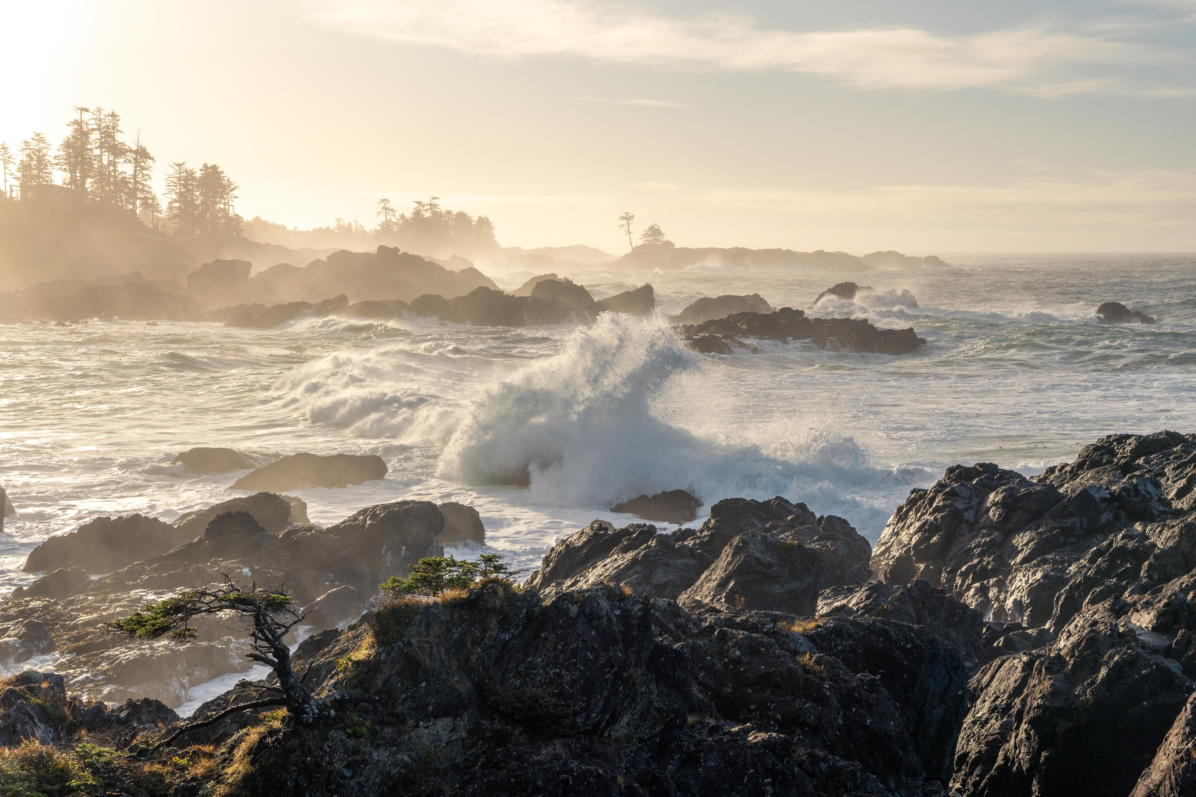 Morning sunrise photo from the Wild Pacific trail just next to the hotel
