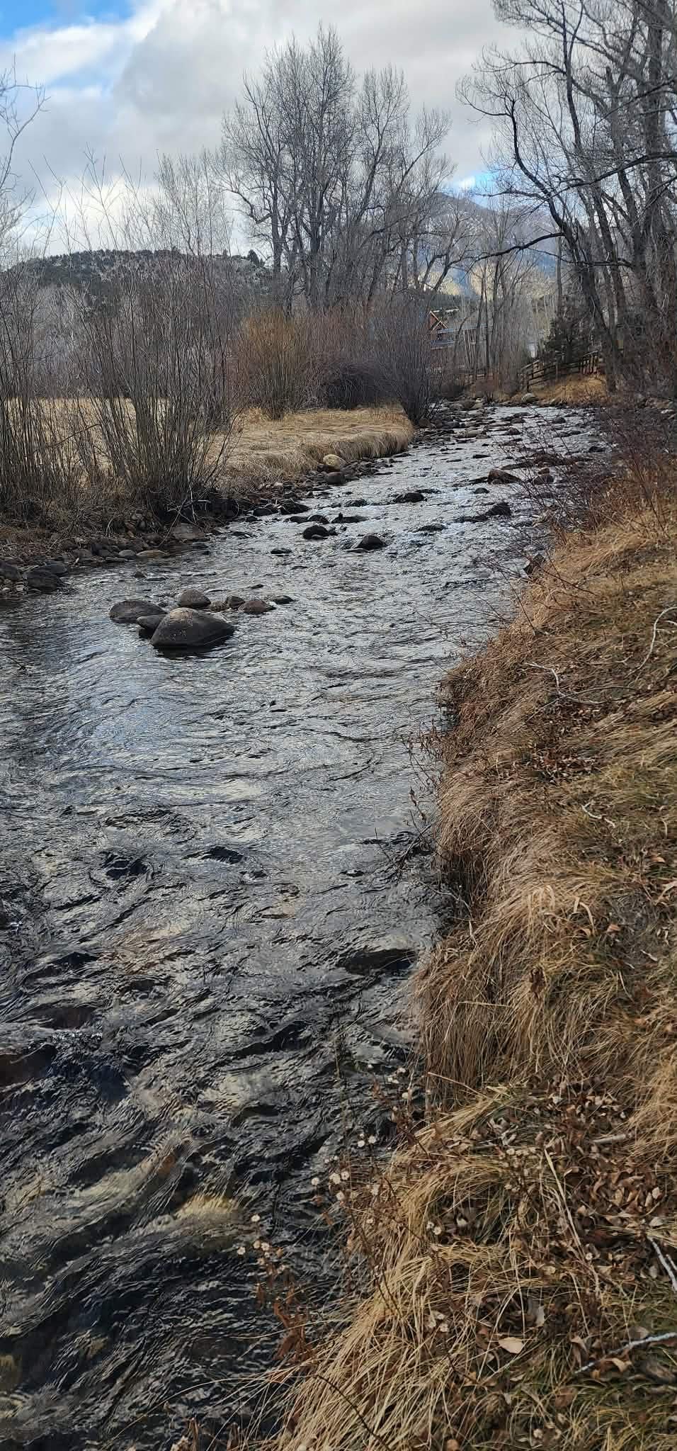 River behind the cabins