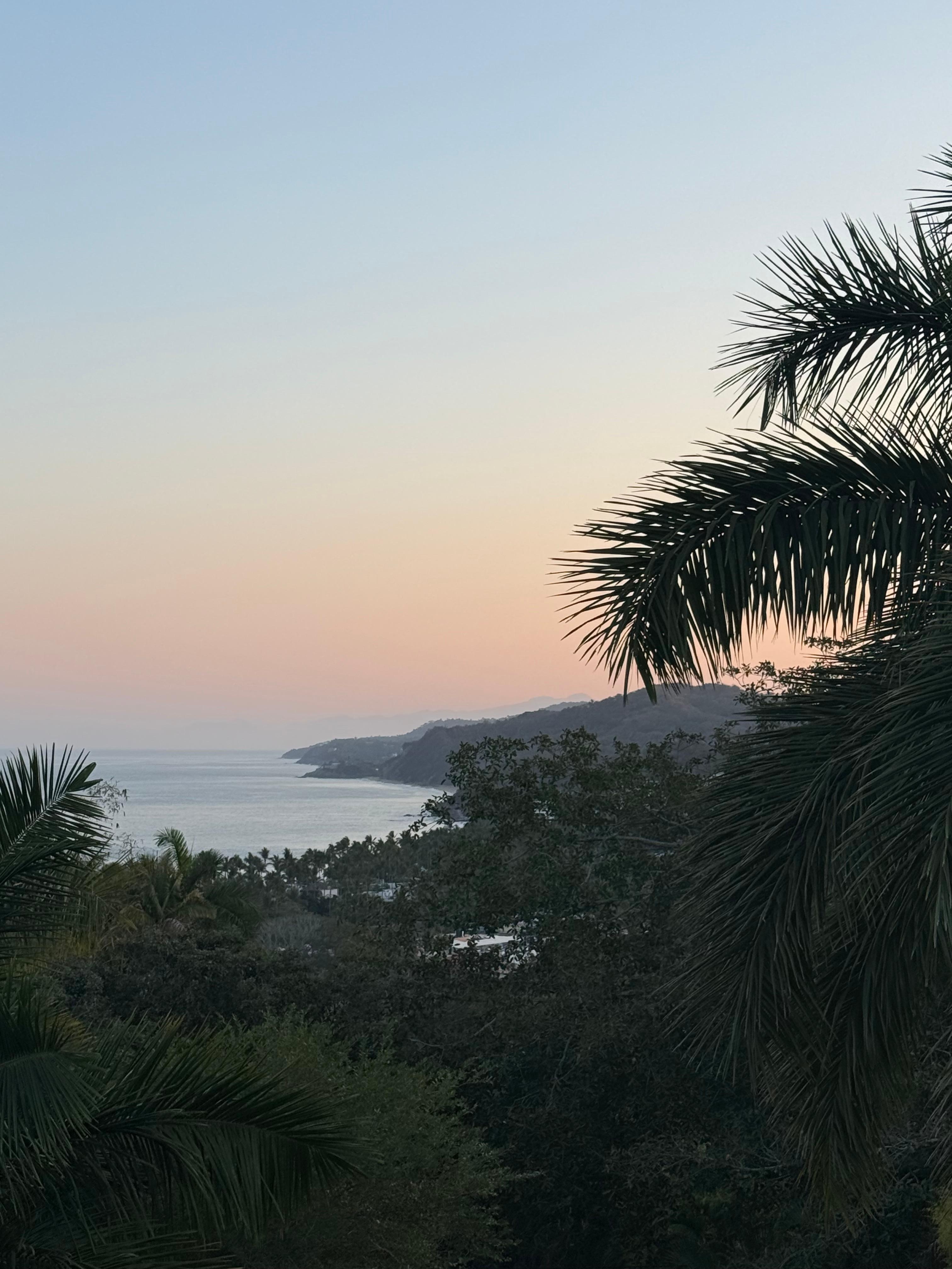 View from rooftop deck