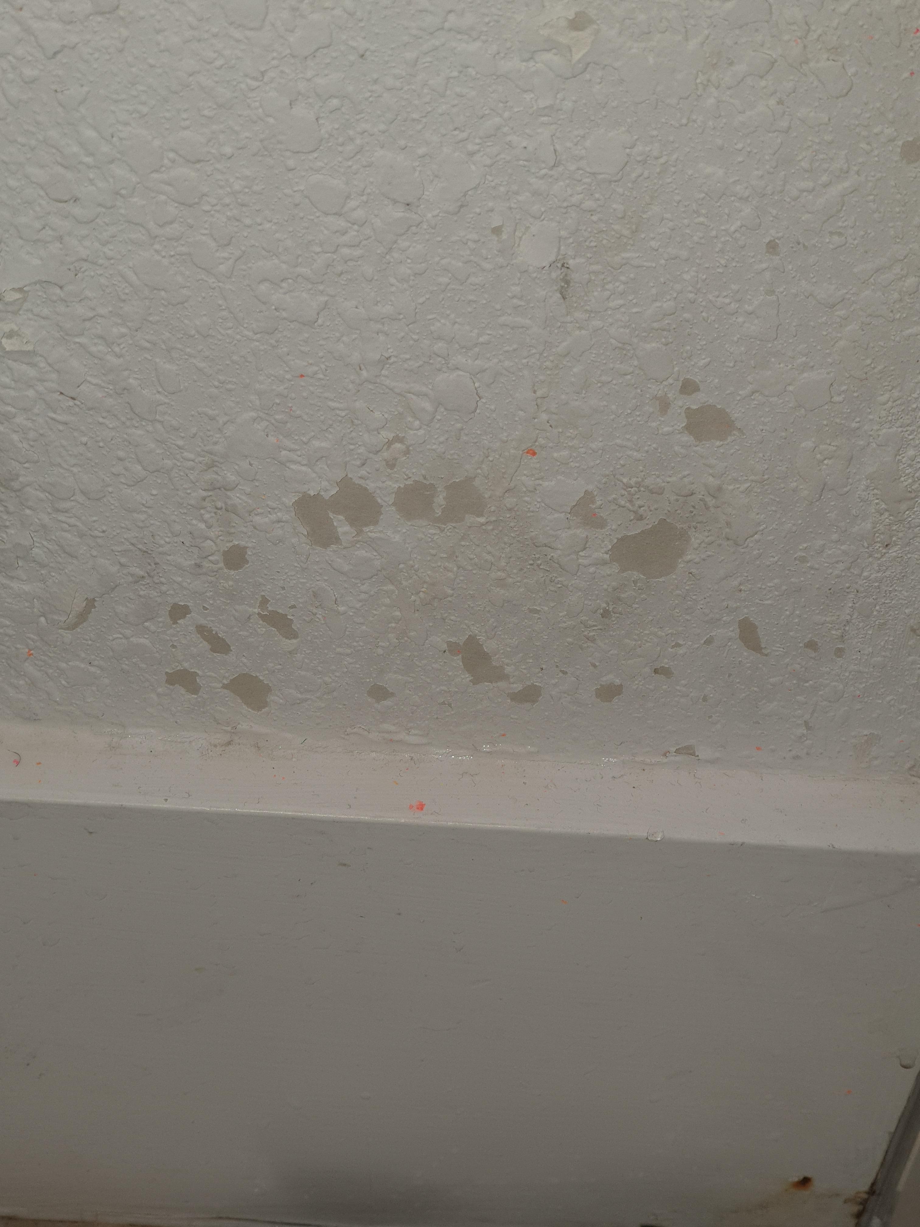 Mildew on lower bathroom wall facing toilet 