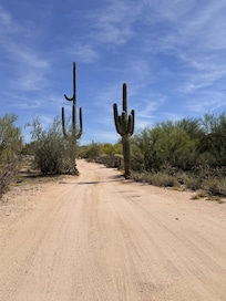 You can find the driveway between these two cactus!