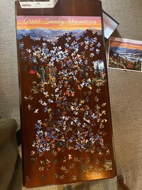The puzzle we worked on