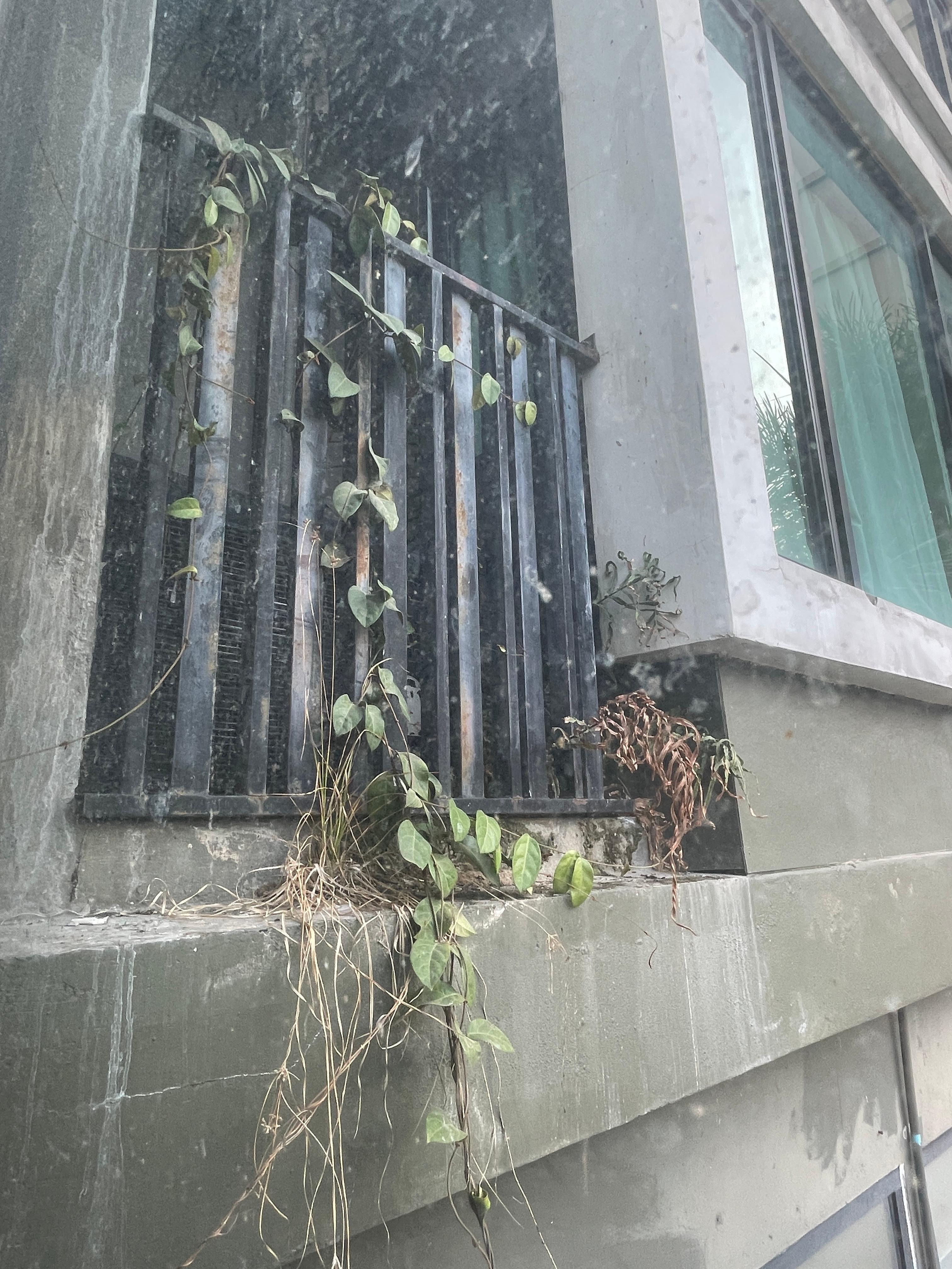 The railing is rusted    