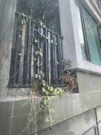 The railing is rusted