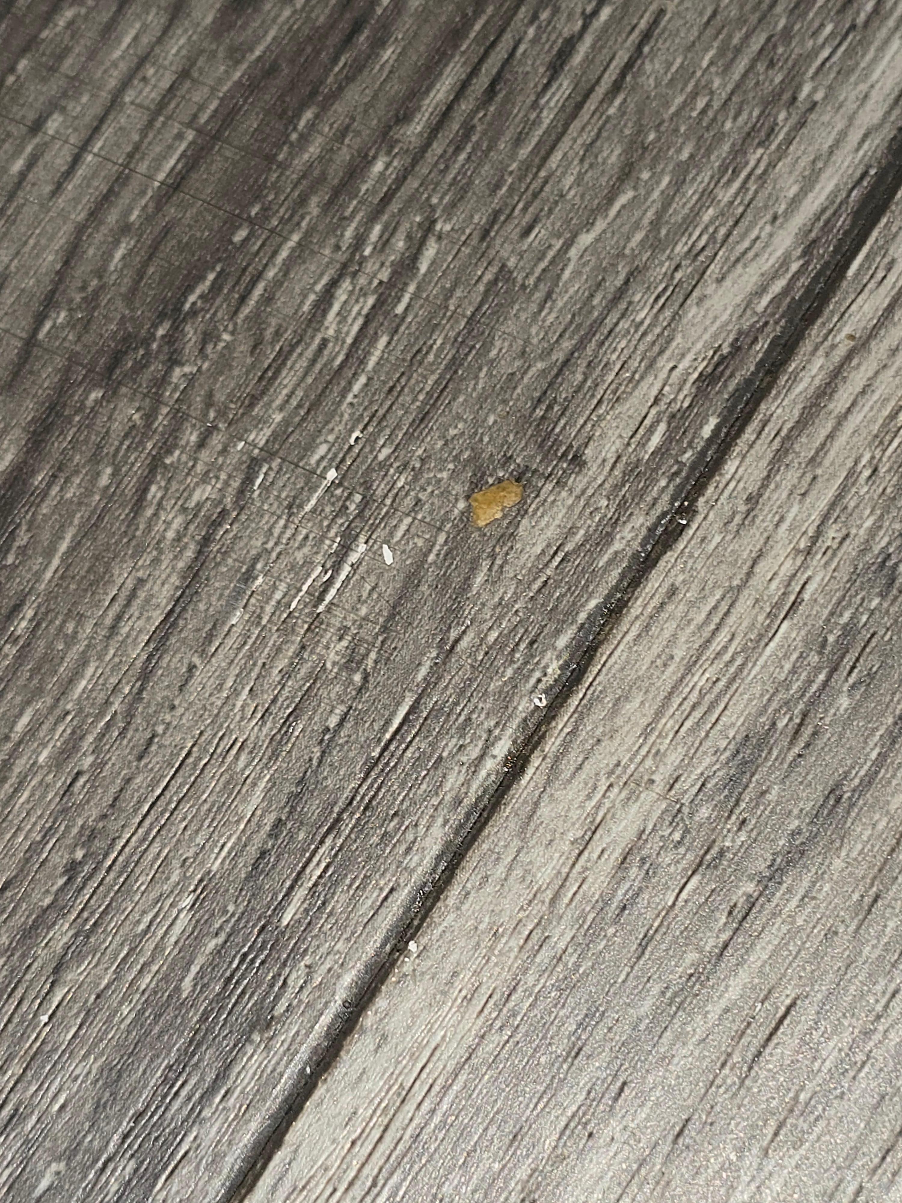 This is something obviously stepped on or just smashed on the bathroom floor....the bathroom was not cleaned for us....  why?