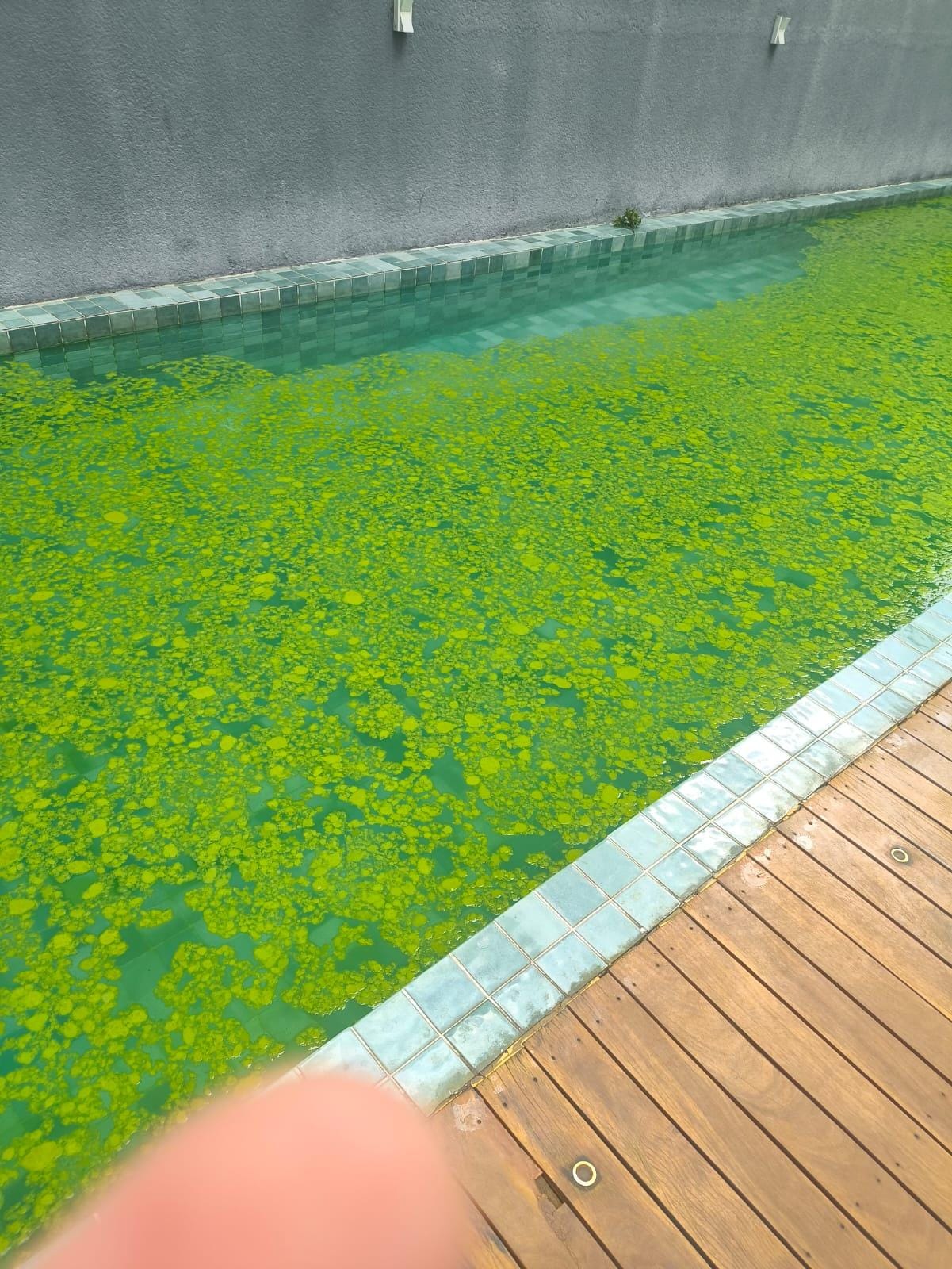 Dia 30/12 onde iniciaram a limpeza.