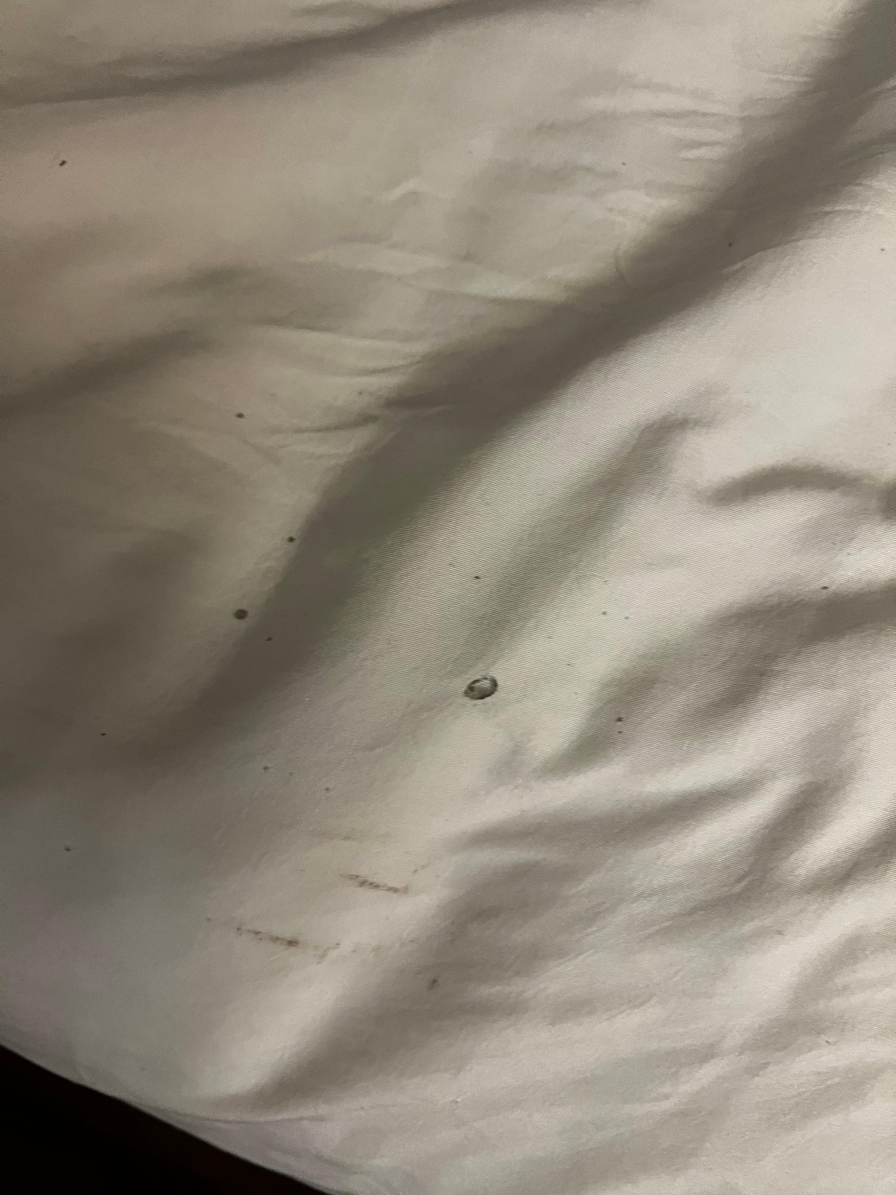 Burn marks on the sheets. 