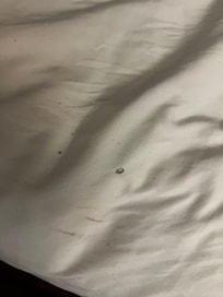 Burn marks on the sheets.