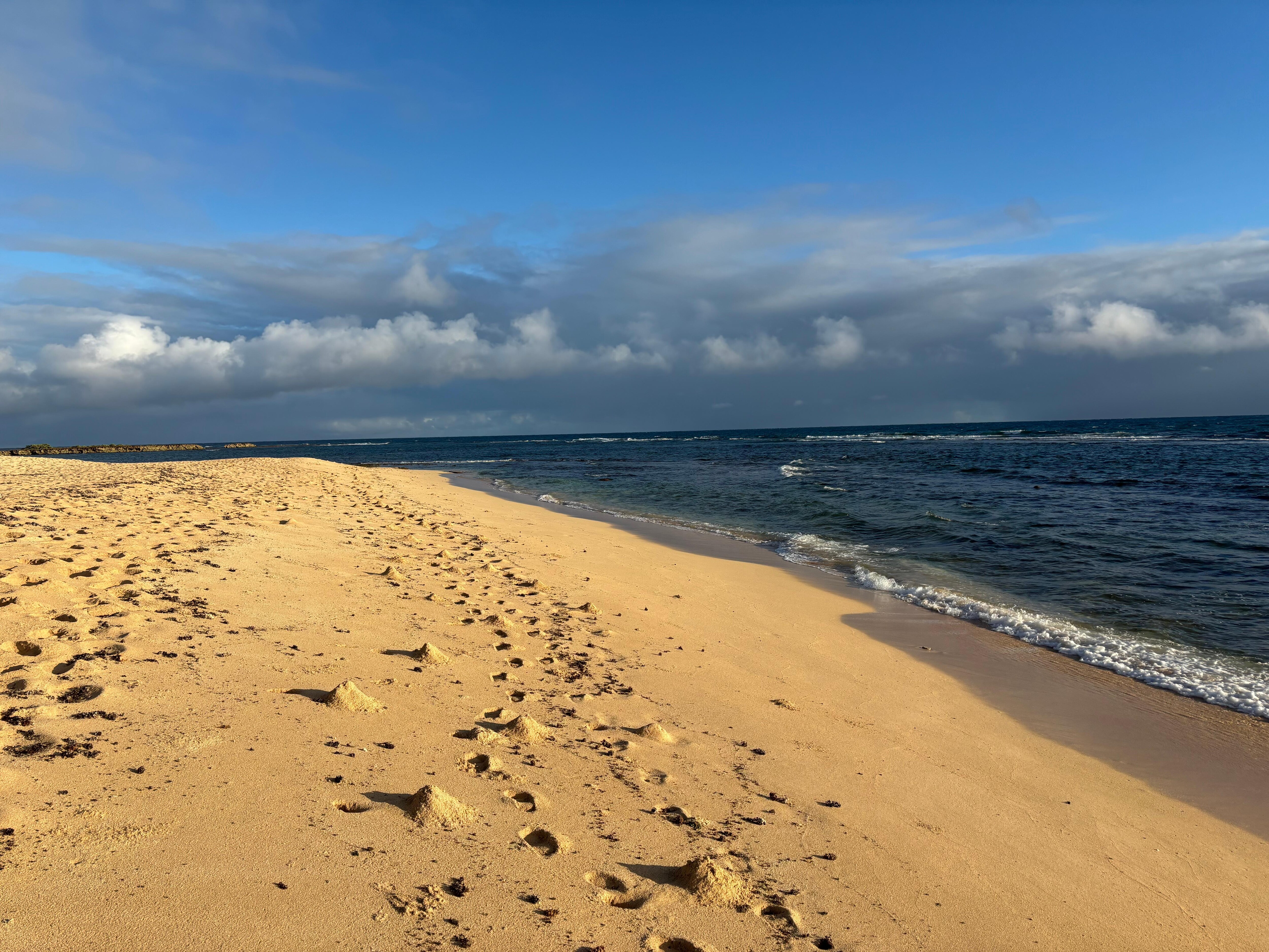 Stunning beach within walking distance 