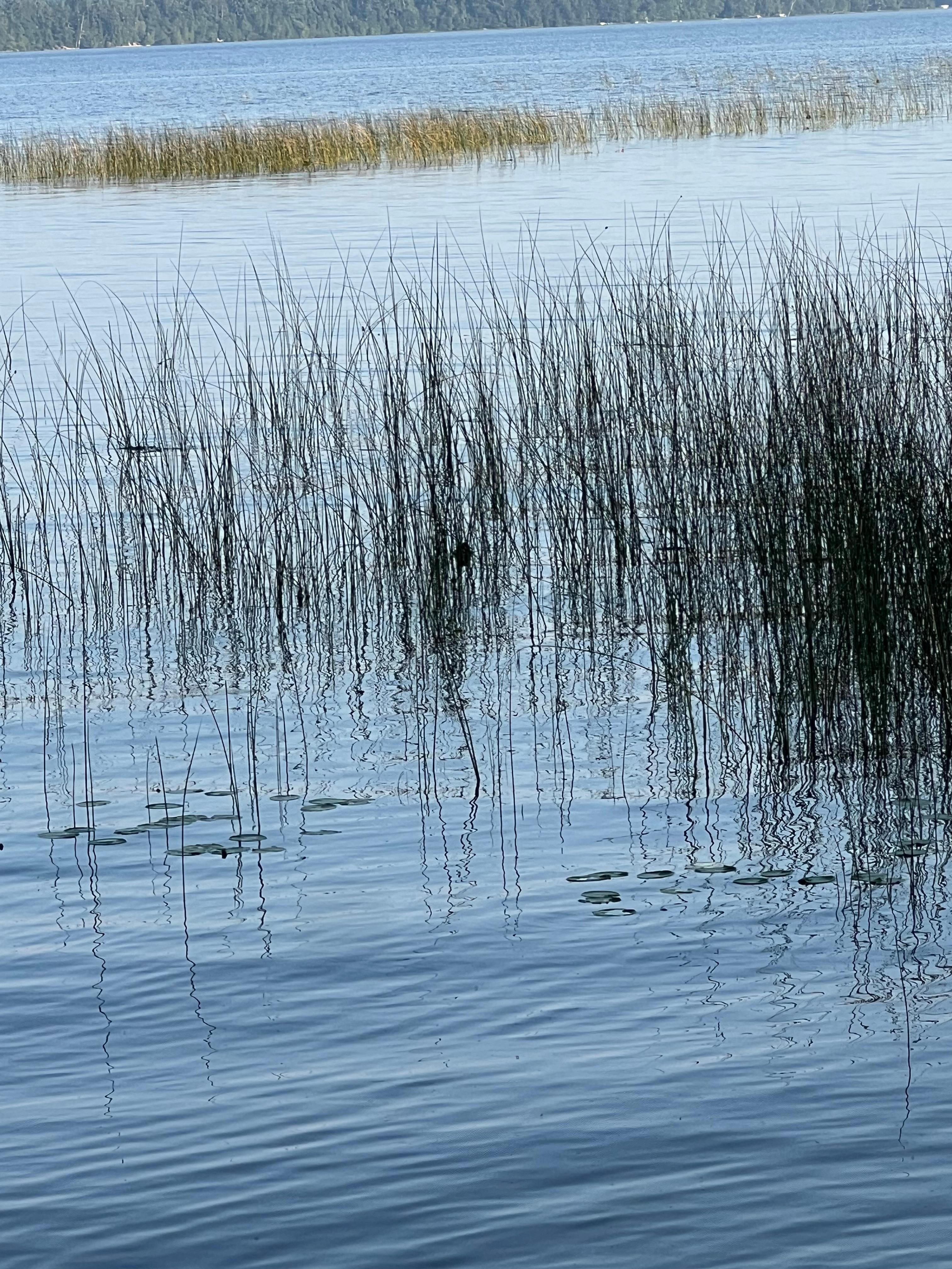 Pictures online very deceiving