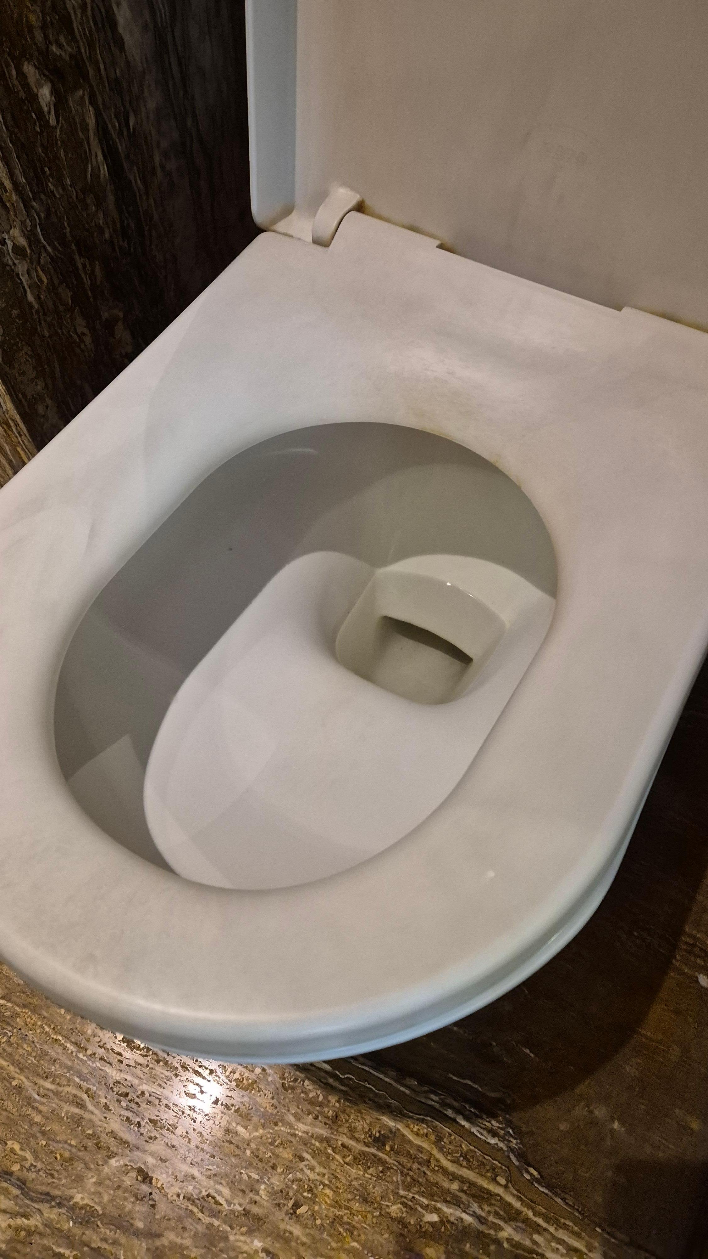 The toilet bowl and the seat are so dirty that the dirt doesn't even come off anymore.