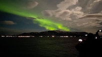 Northern lights seen from a cruise around the harbour