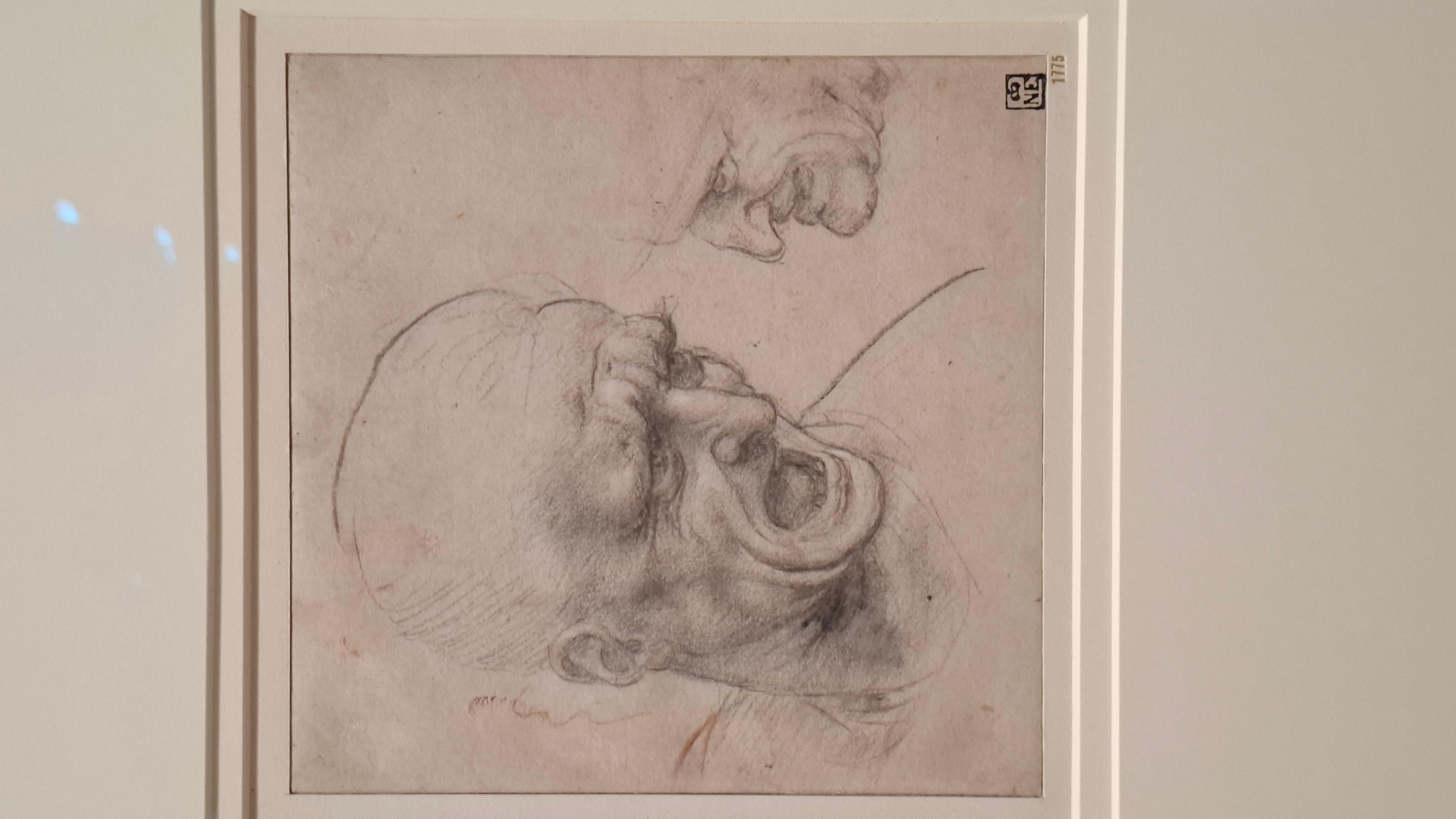 Boceto de Leonardo Da Vinci