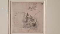 Boceto de Leonardo Da Vinci