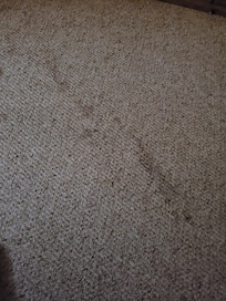 Stained Carpet
