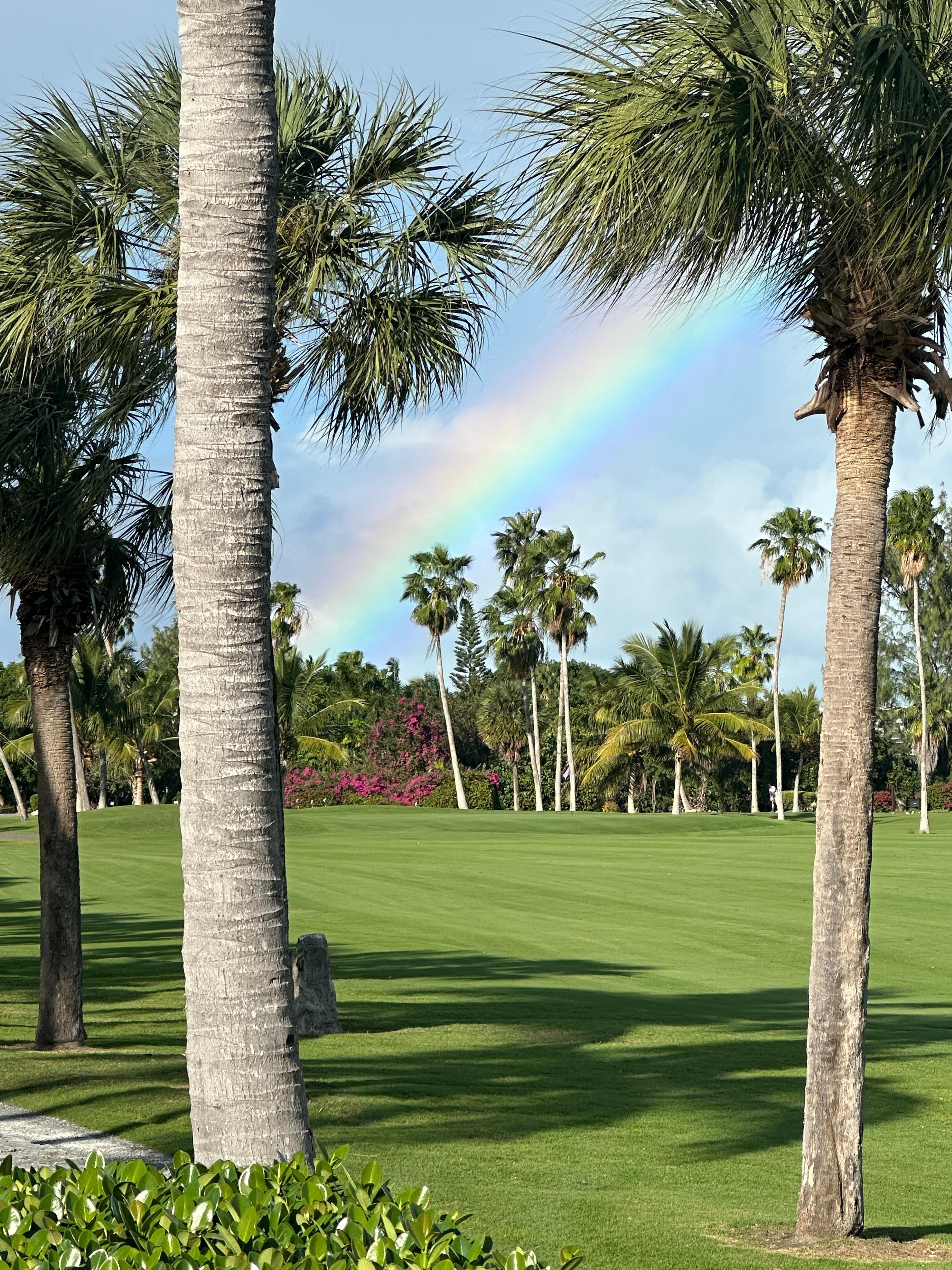 View from the pool, steps from the patio. 🌈