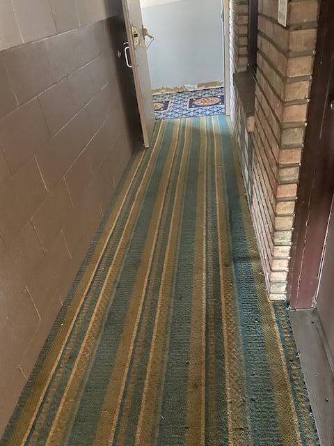 Hall way mishap rug