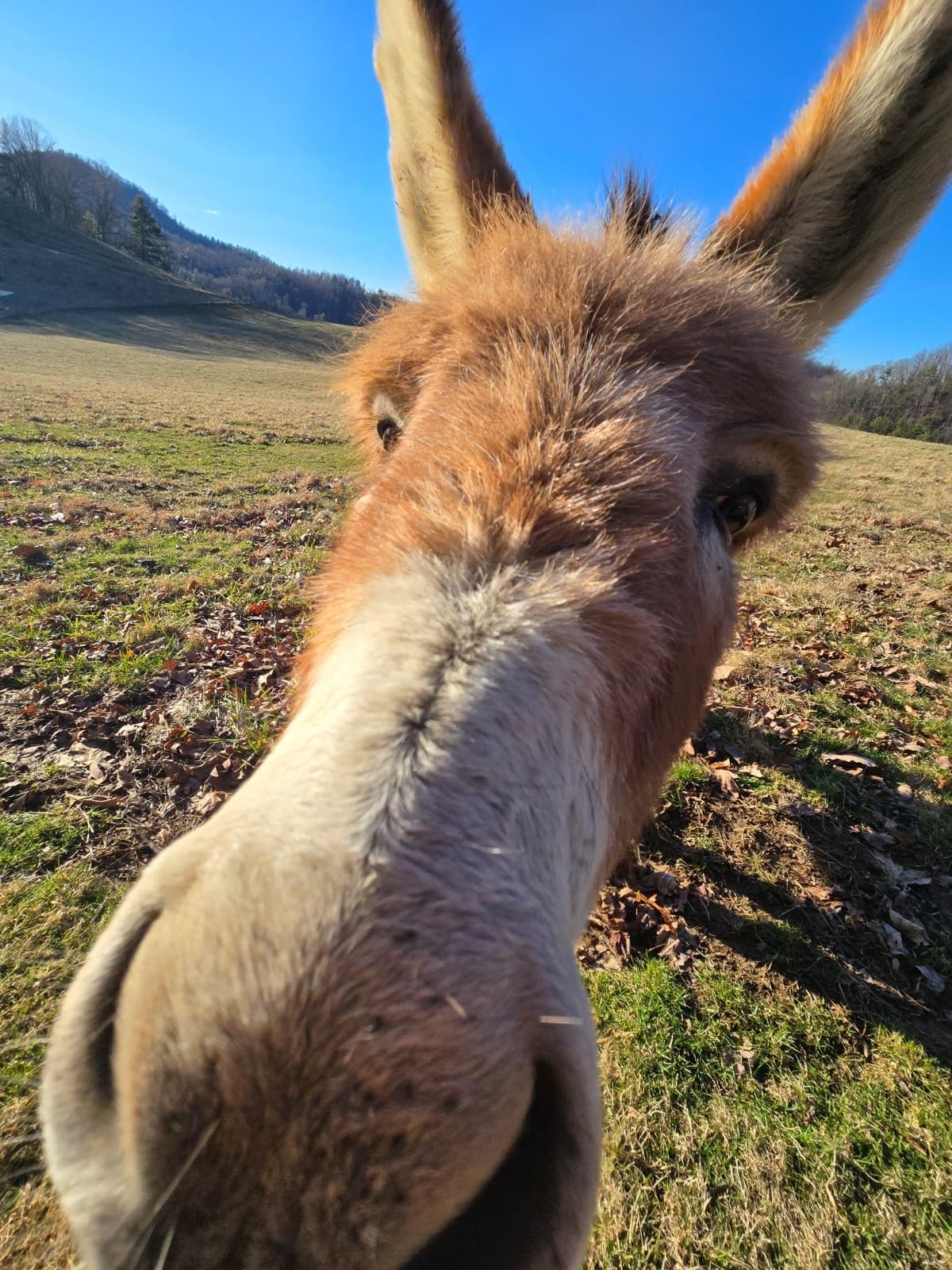 Friendly welcome committee 