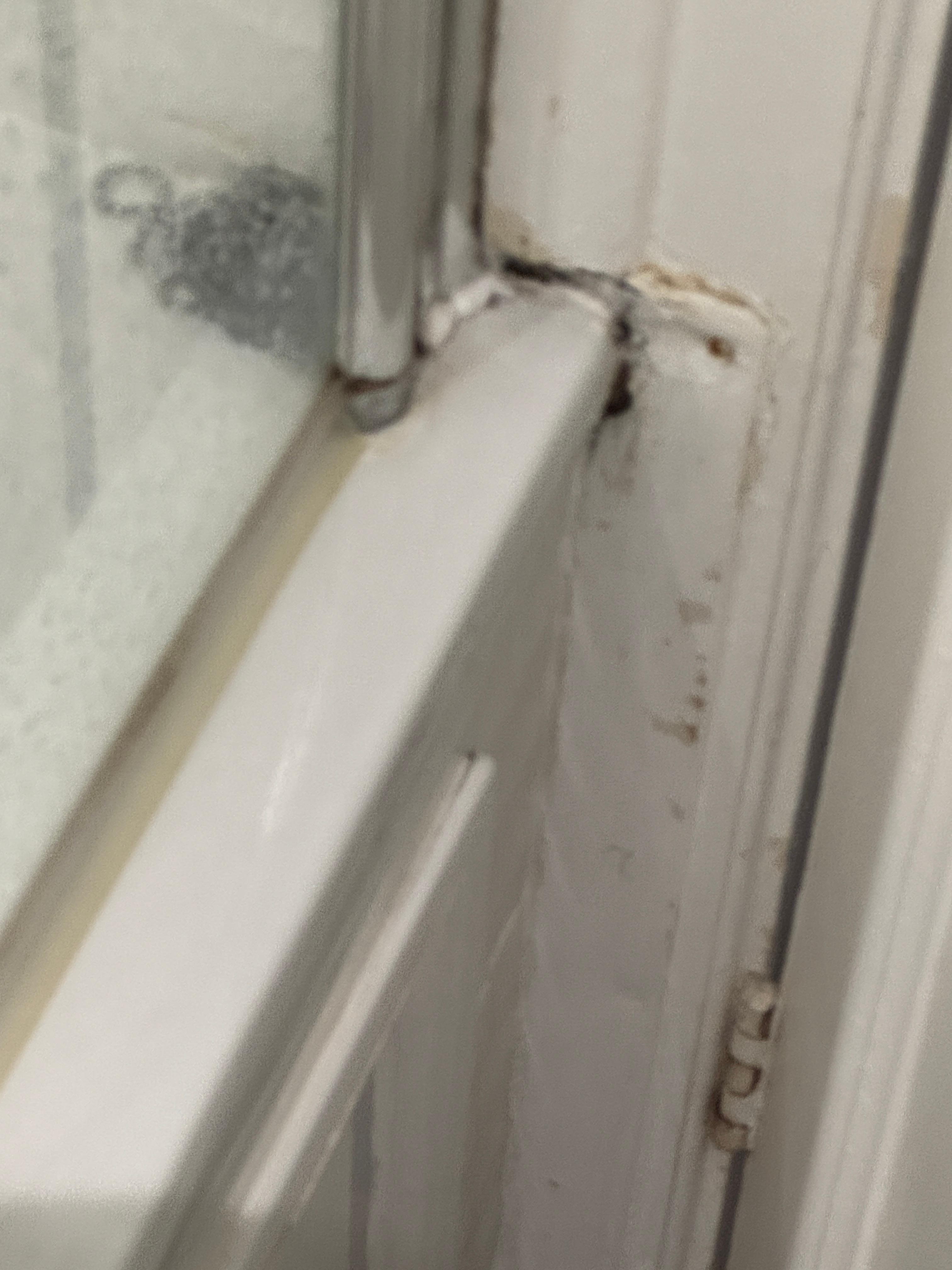 Poor bathroom maintenance.