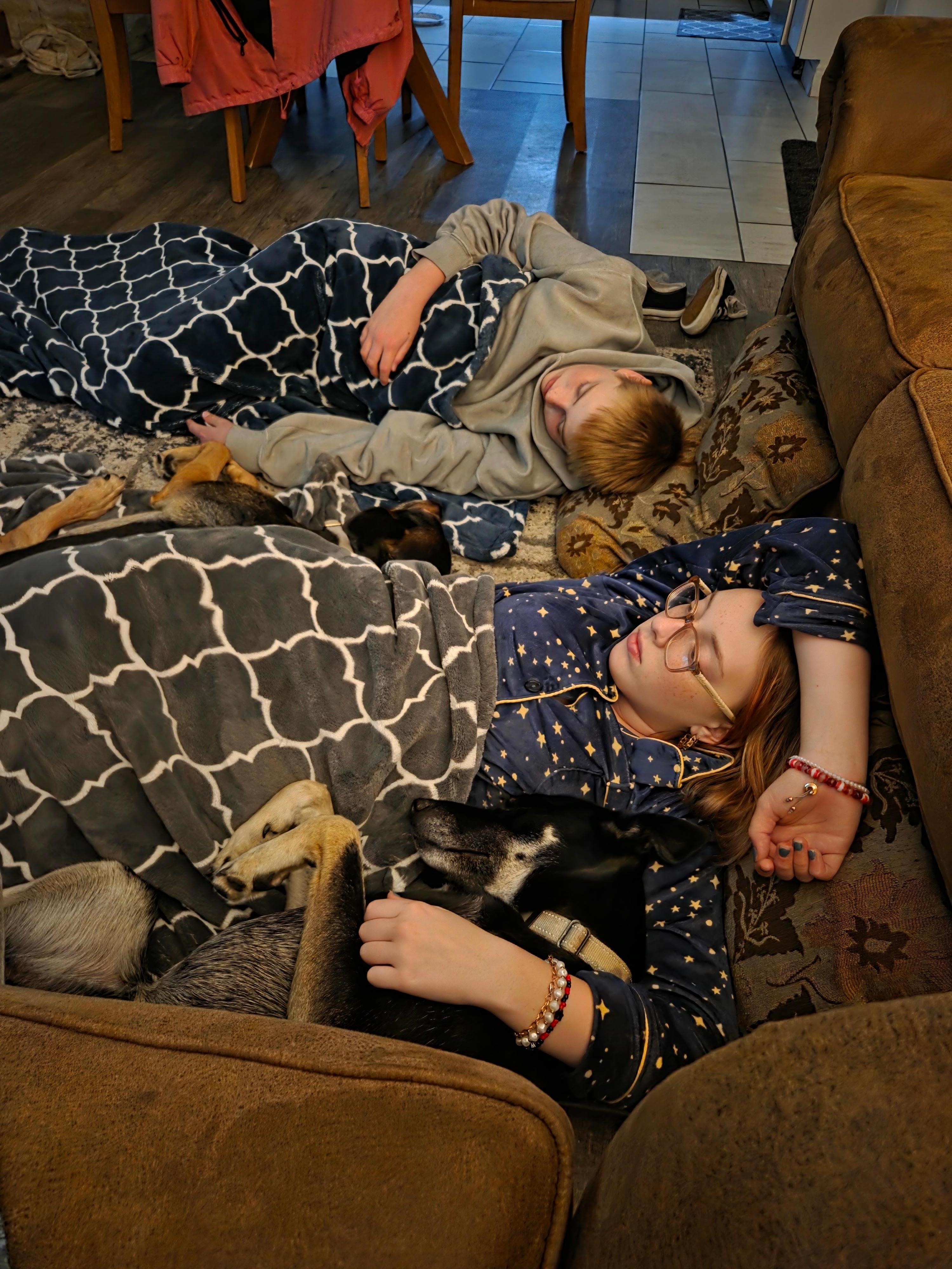 Very accommodating for our pets!! ❤️