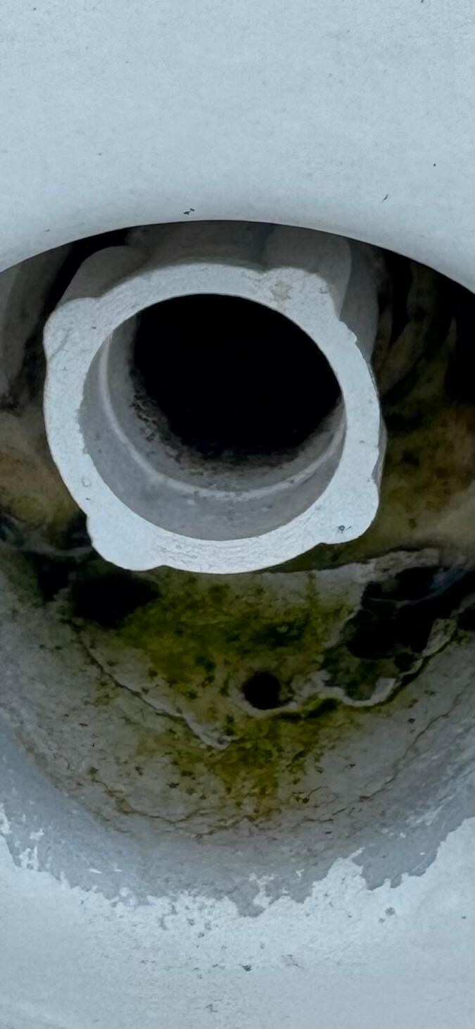 Algae is the jets. This is one of multiple