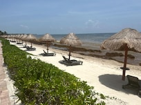 Beach with seaweed