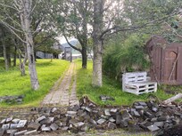 Poorly maintained yard