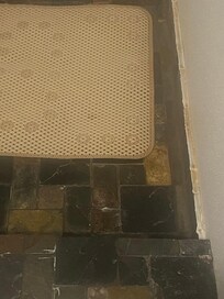 Baseboard tile around shower