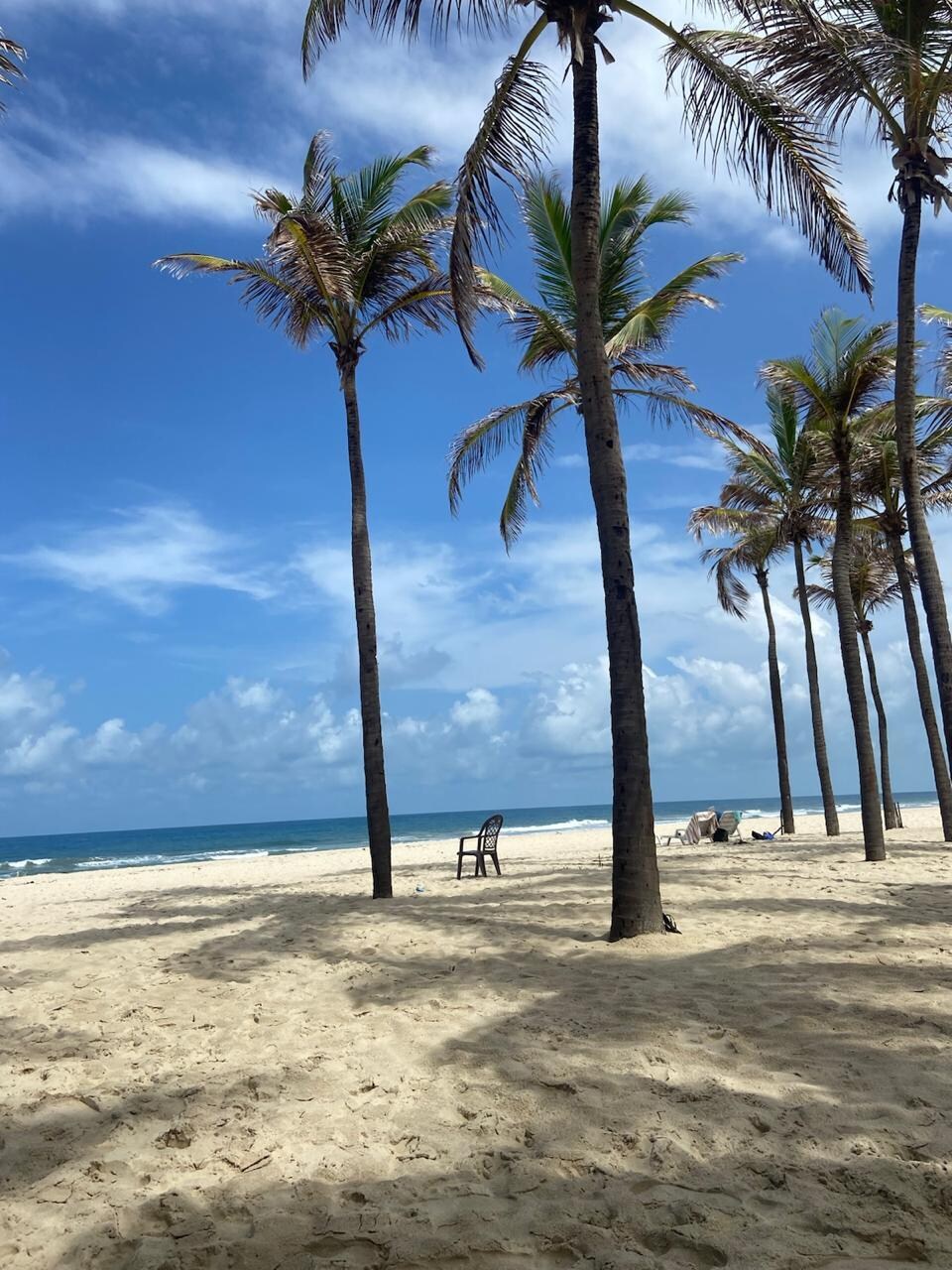área de praia embaixo com coqueiros com serviço de praia completo. 