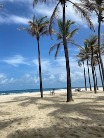 área de praia embaixo com coqueiros com serviço de praia completo.