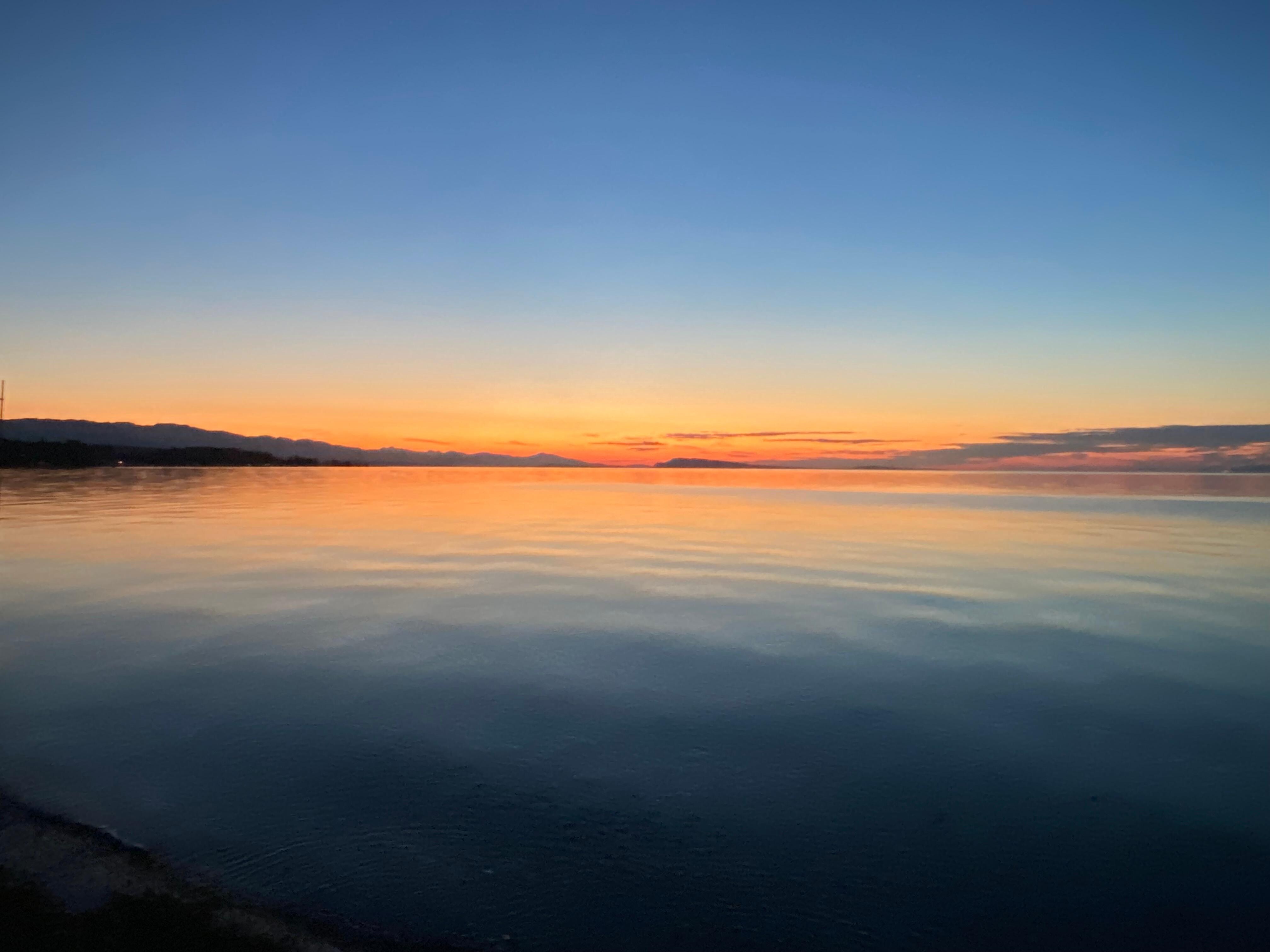 Peaceful view. 